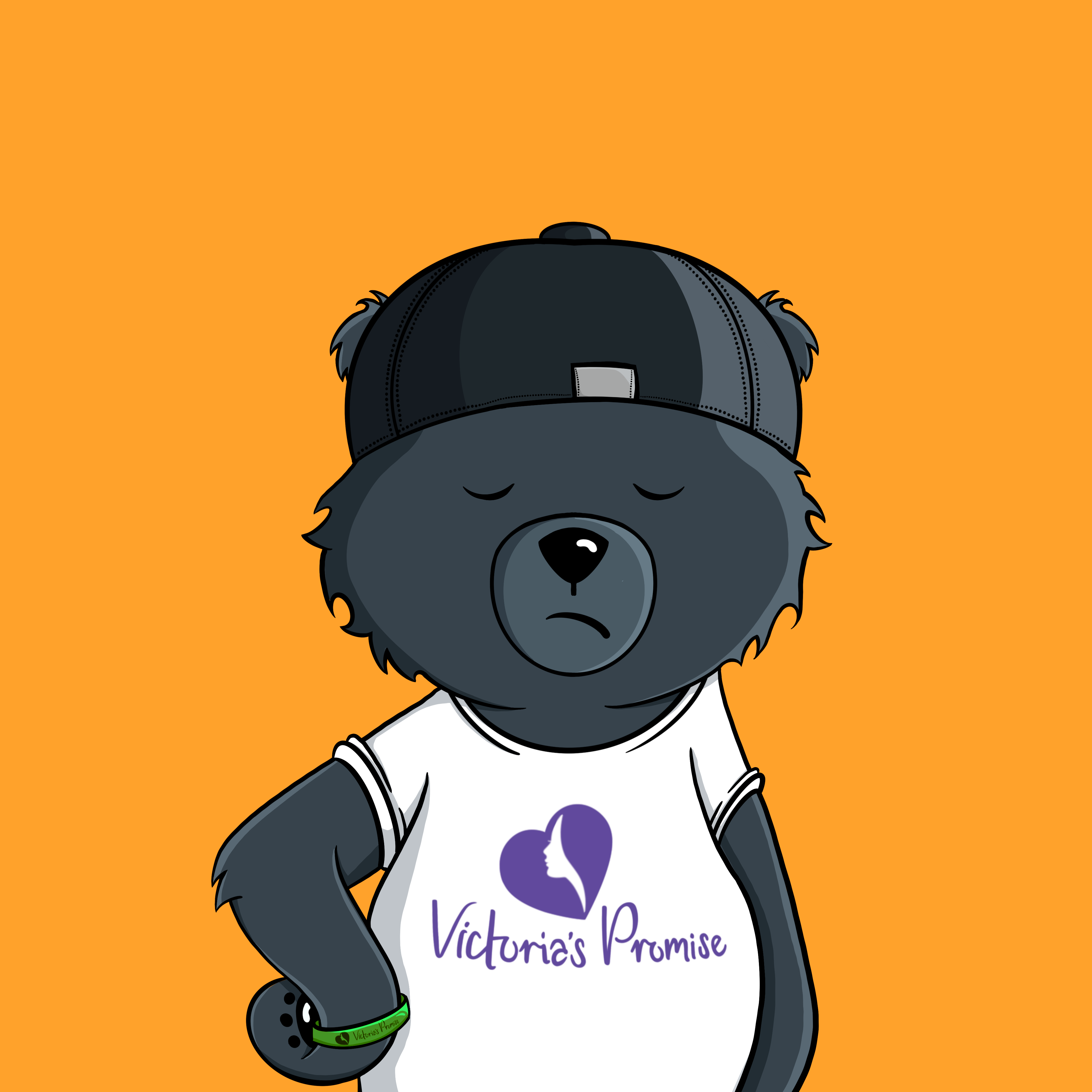 Promise Bears #3895 NFT on Algorand
