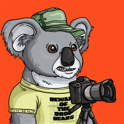 Wildlife Warrior Koala #416