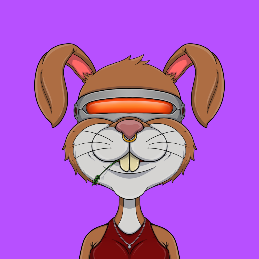 Addict Rabbit Gang 1365 NFT on Algorand