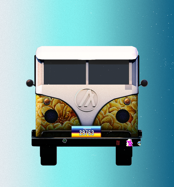 An image of TheShagginWagon 19