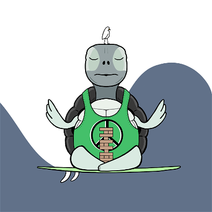 Zen Turtle 0143