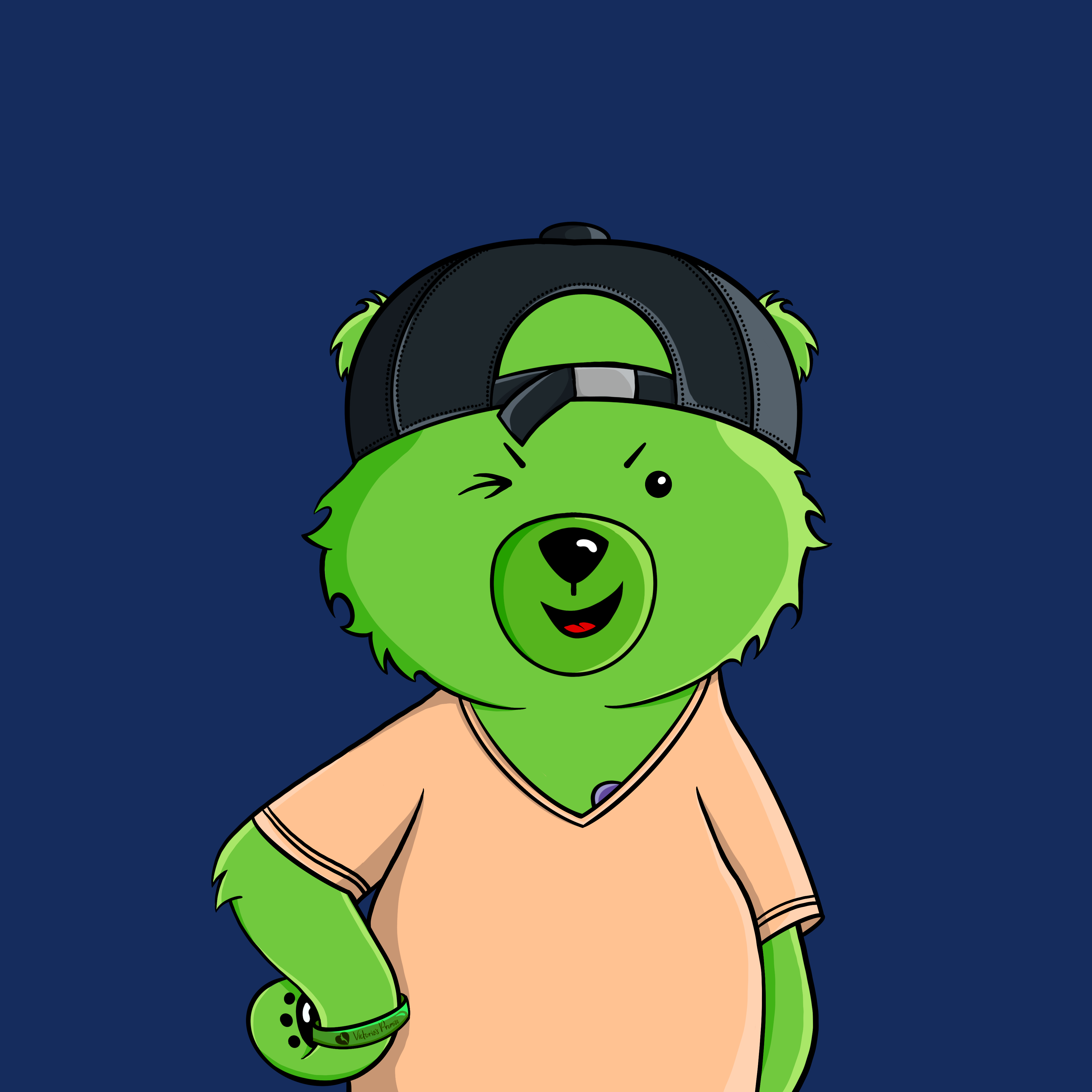 Promise Bears #4847 NFT on Algorand