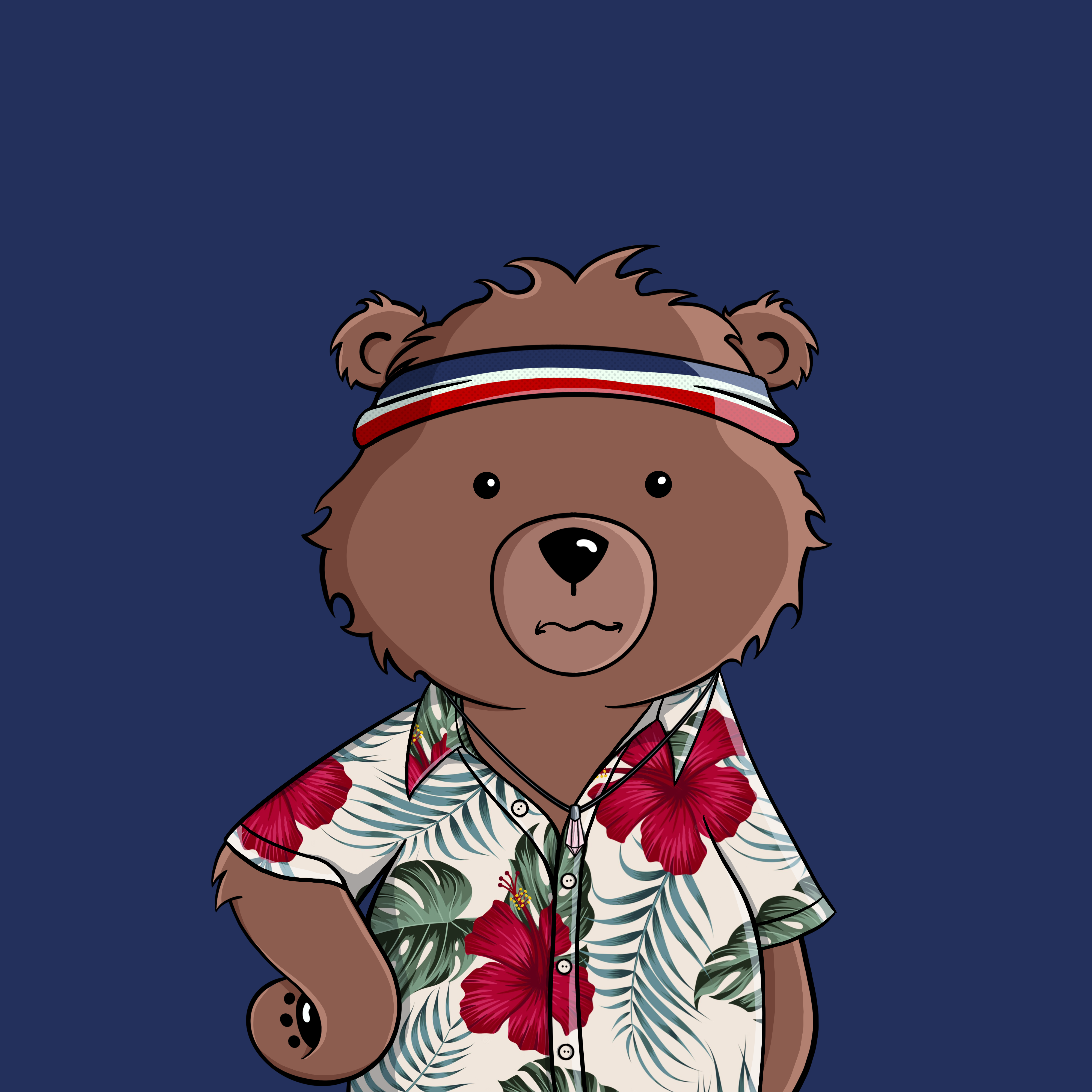 Promise Bears #2628 NFT on Algorand