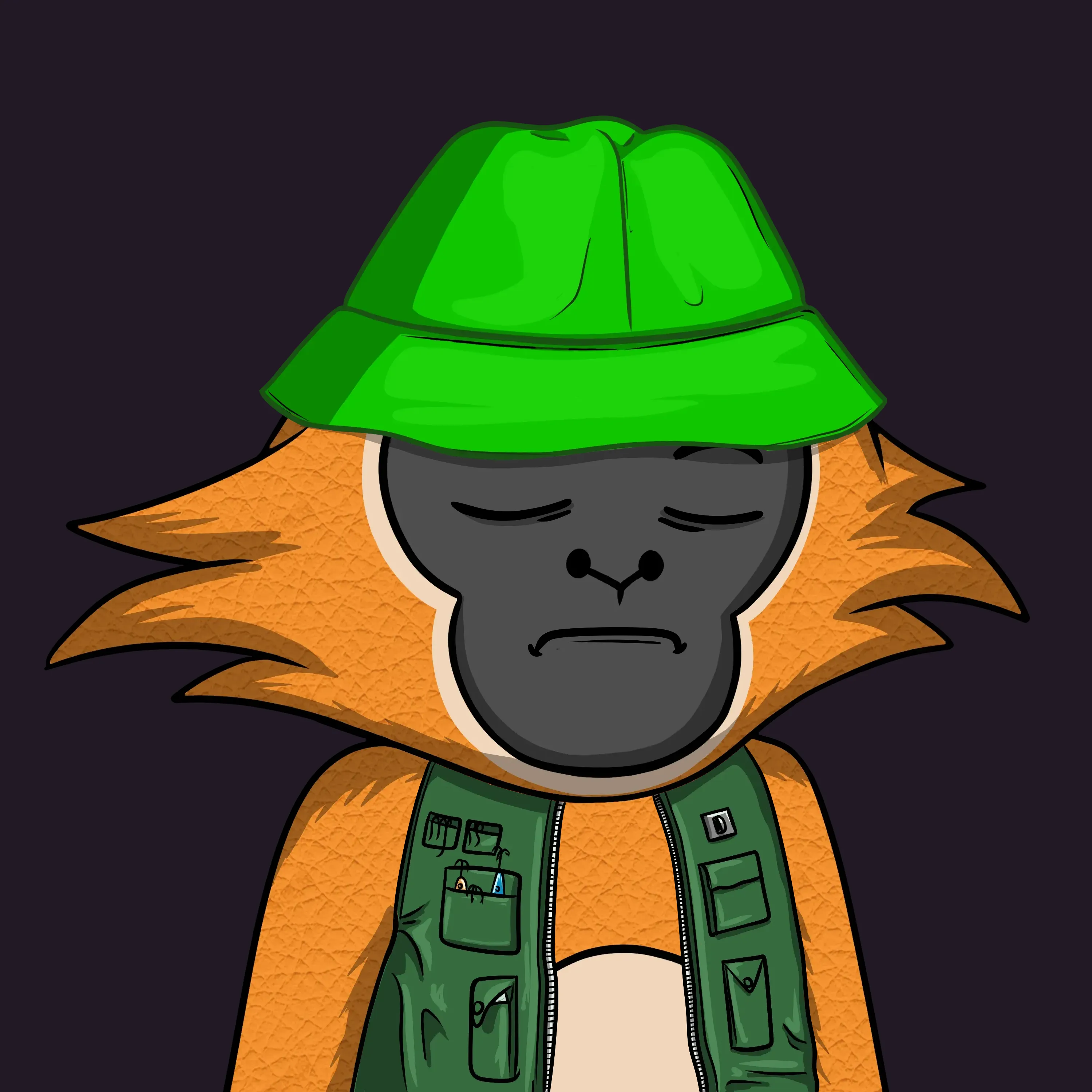 WOOP #147 NFT on Algorand