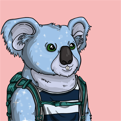 Wildlife Warrior Koala #13