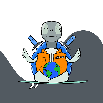 Zen Turtle 0029