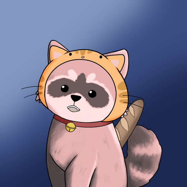 An image of Raccoon #5