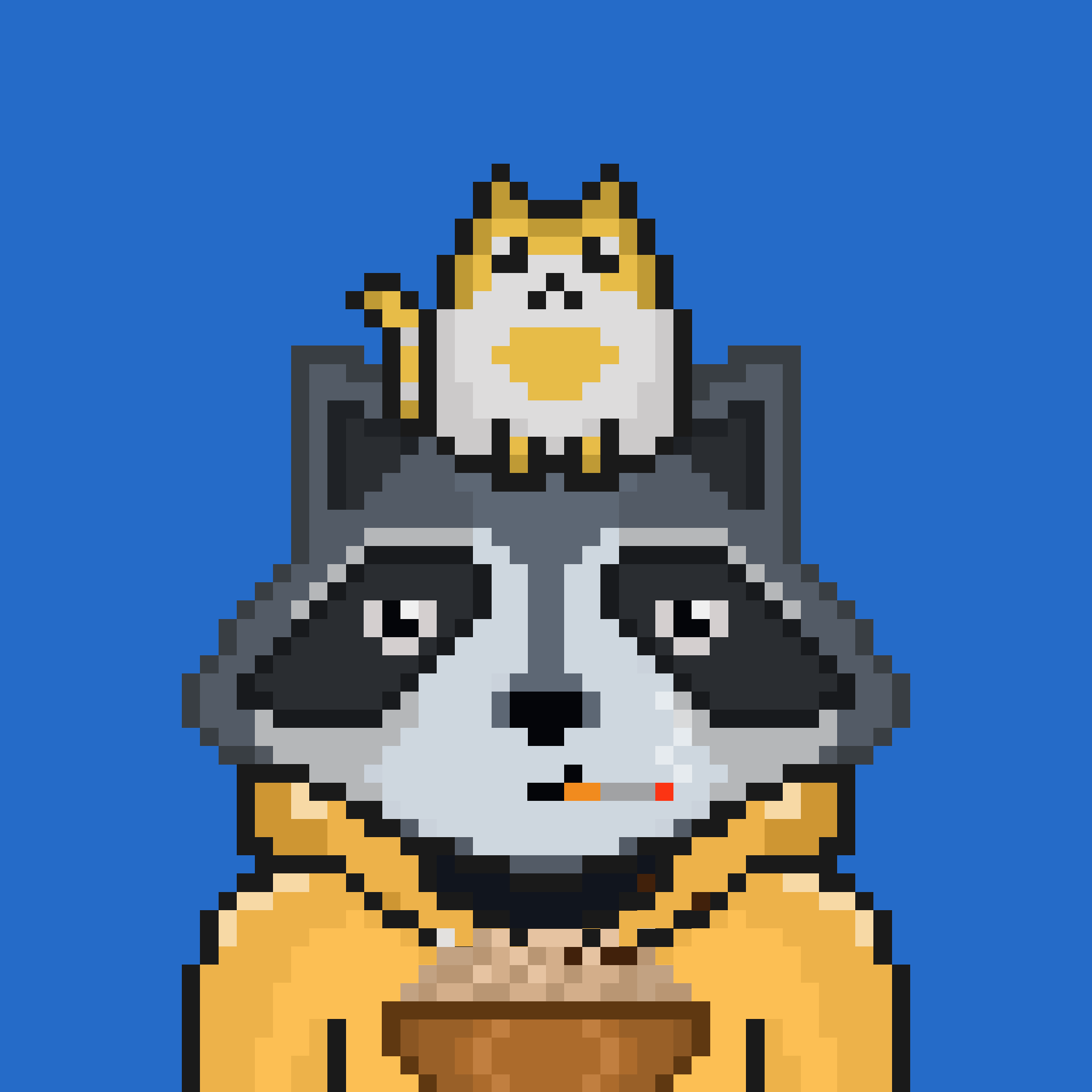 Pixel Raccoon #100 NFT on Algorand