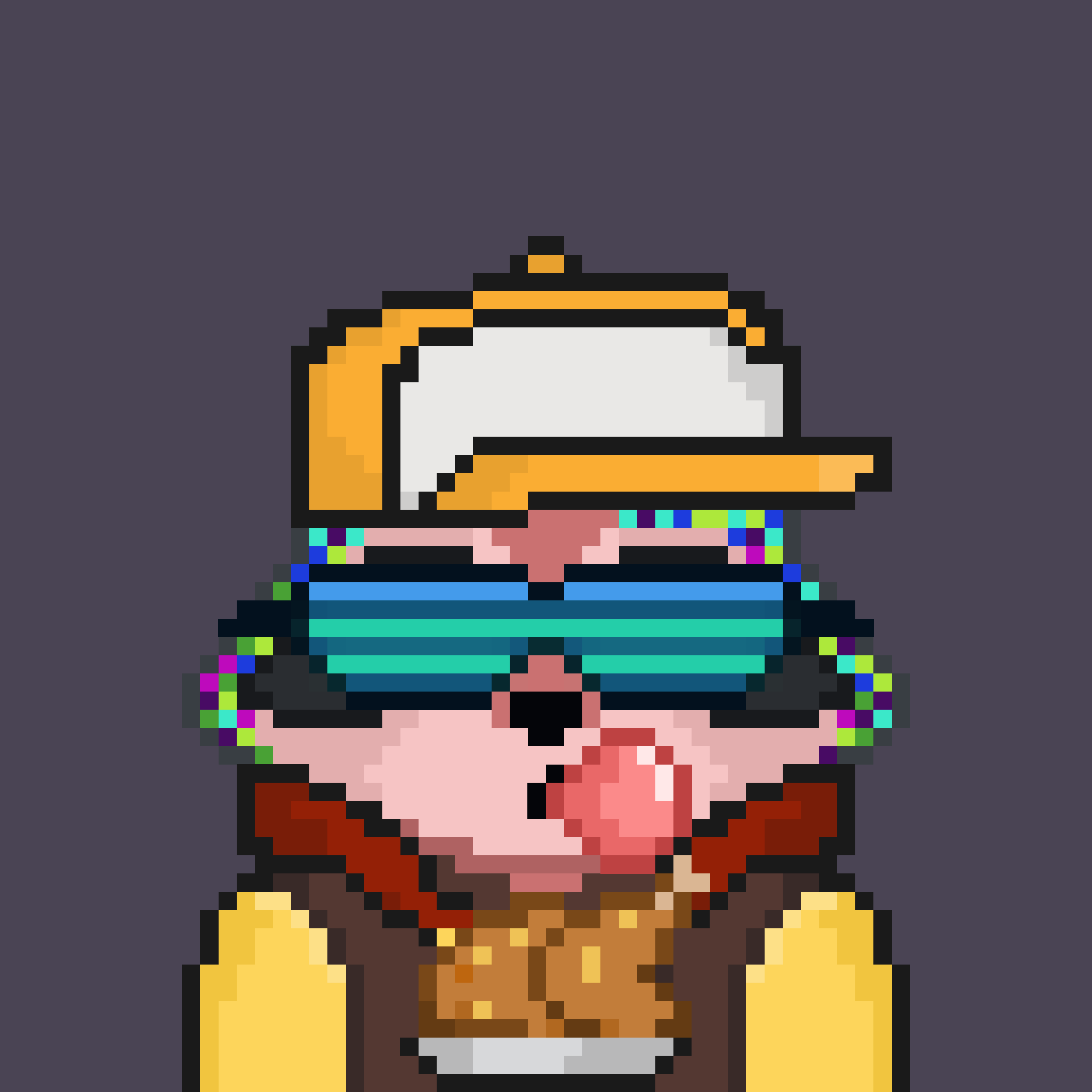 Pixel Raccoon #1004 NFT on Algorand