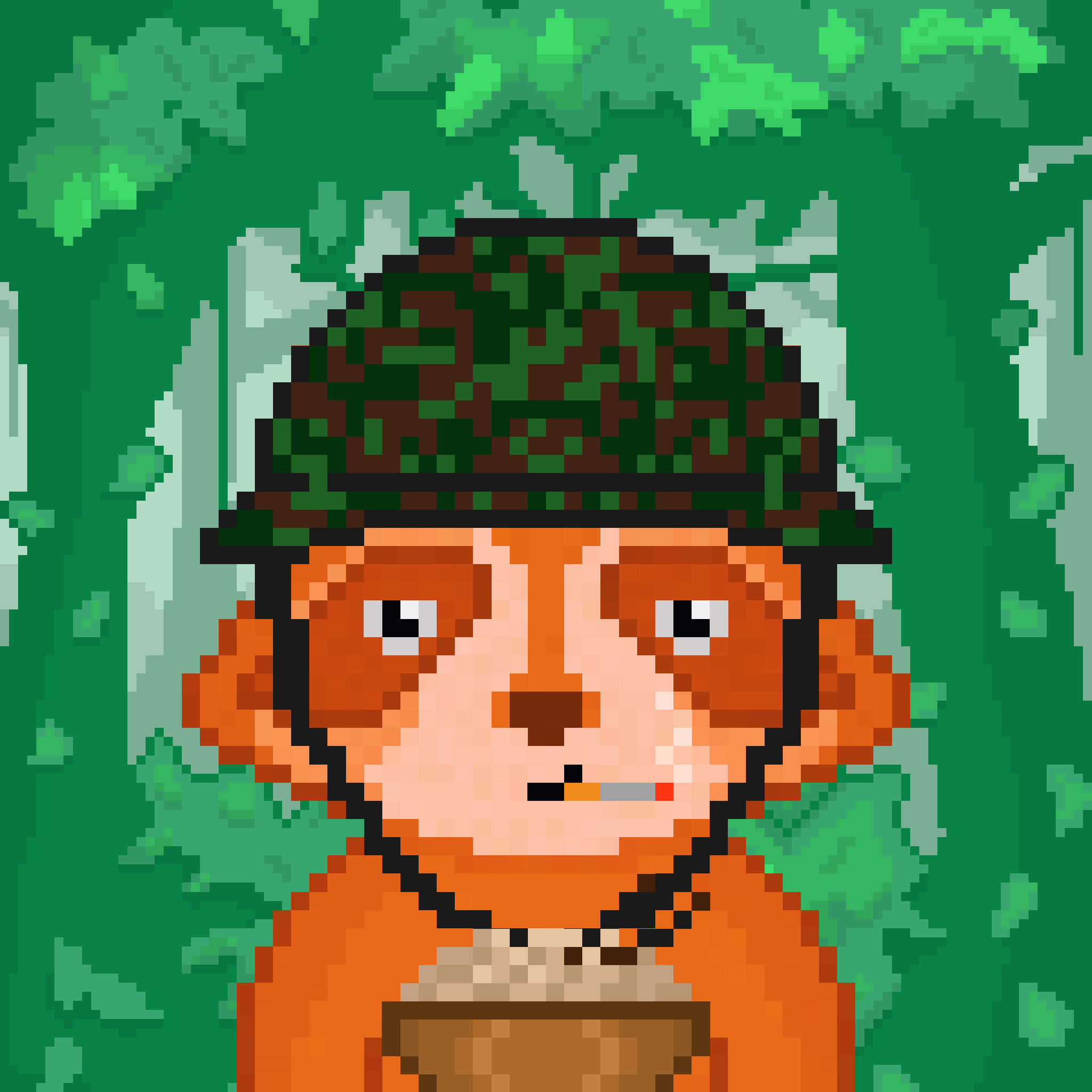 Pixel Raccoon #1009 NFT on Algorand