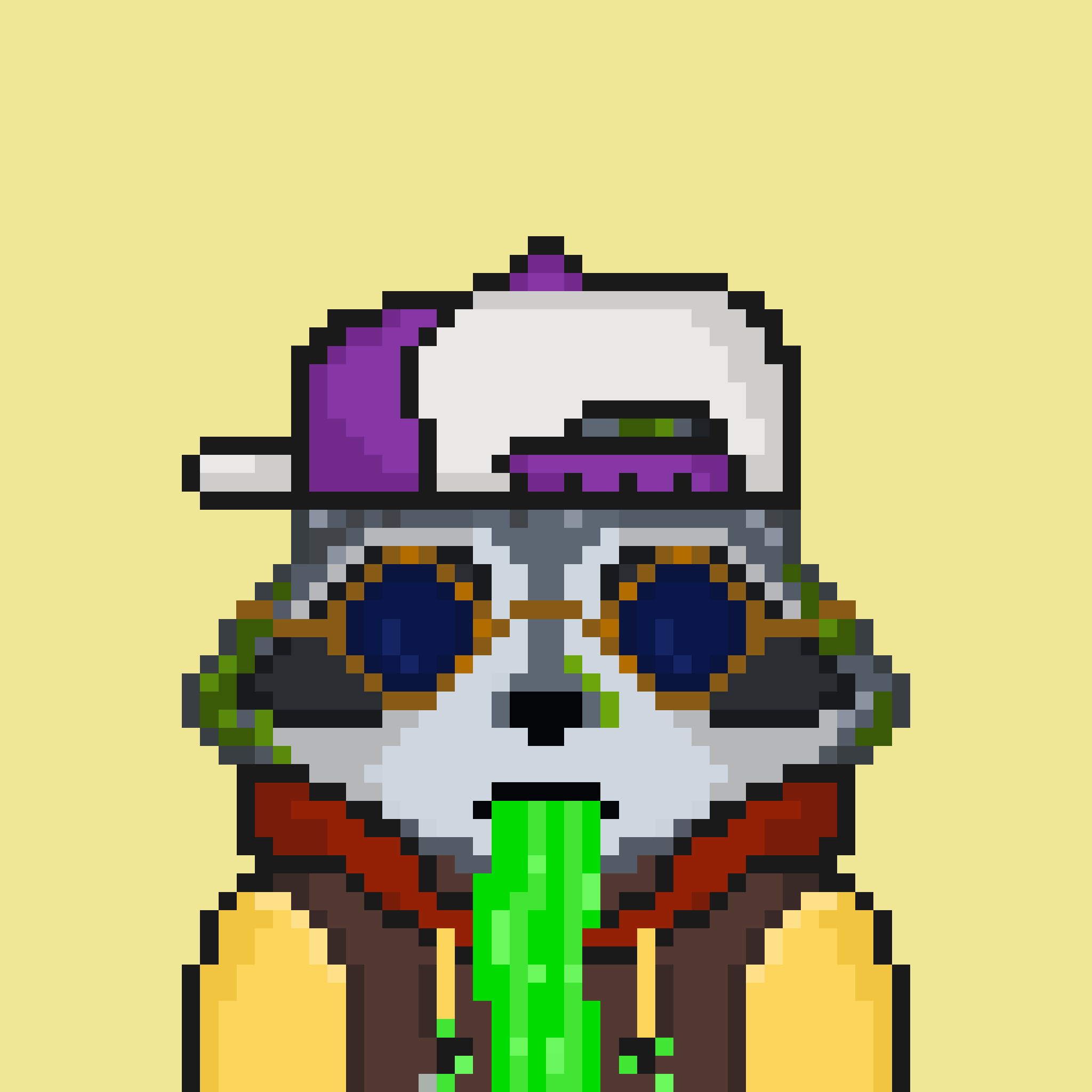 Pixel Raccoon #1054 NFT on Algorand