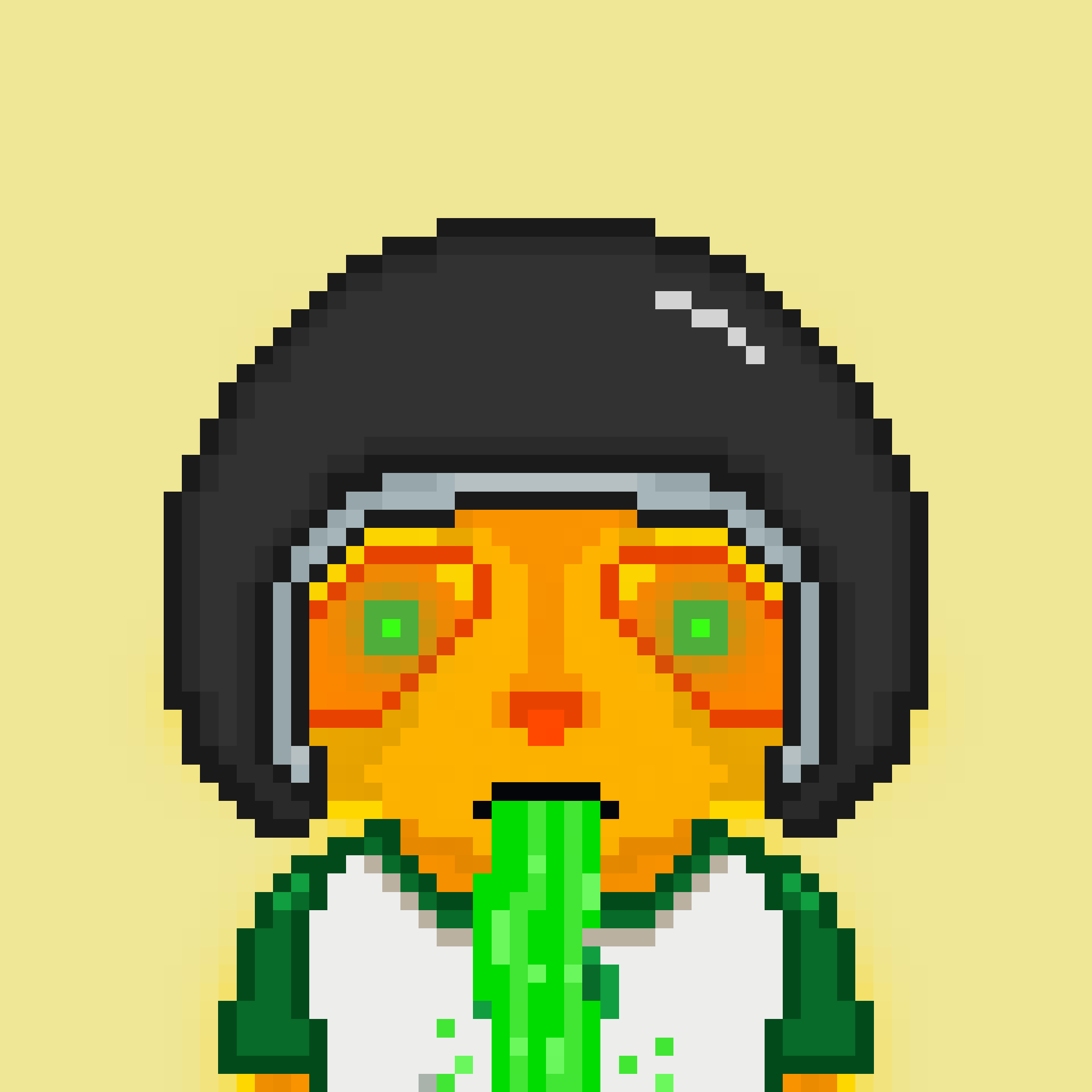 Pixel Raccoon #106 NFT on Algorand