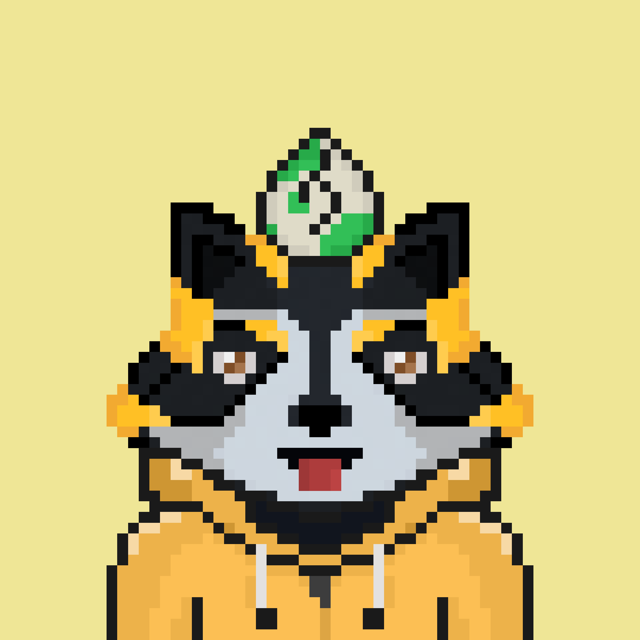 Pixel Raccoon #1103 NFT on Algorand