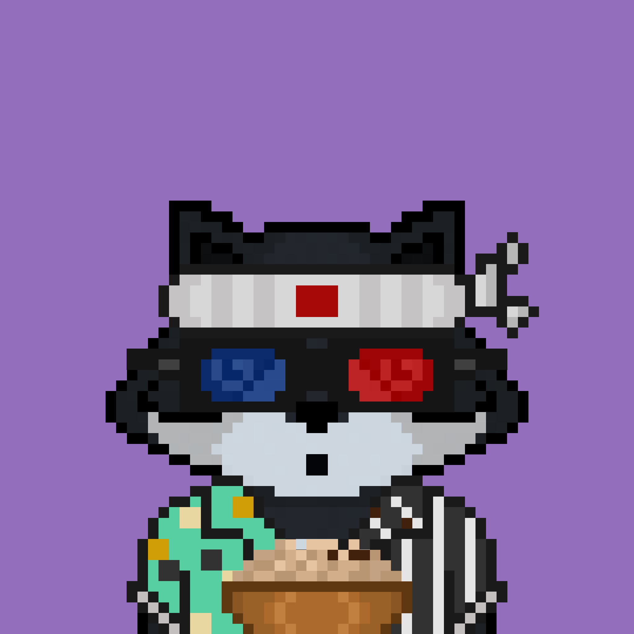 Pixel Raccoon #1132 NFT on Algorand