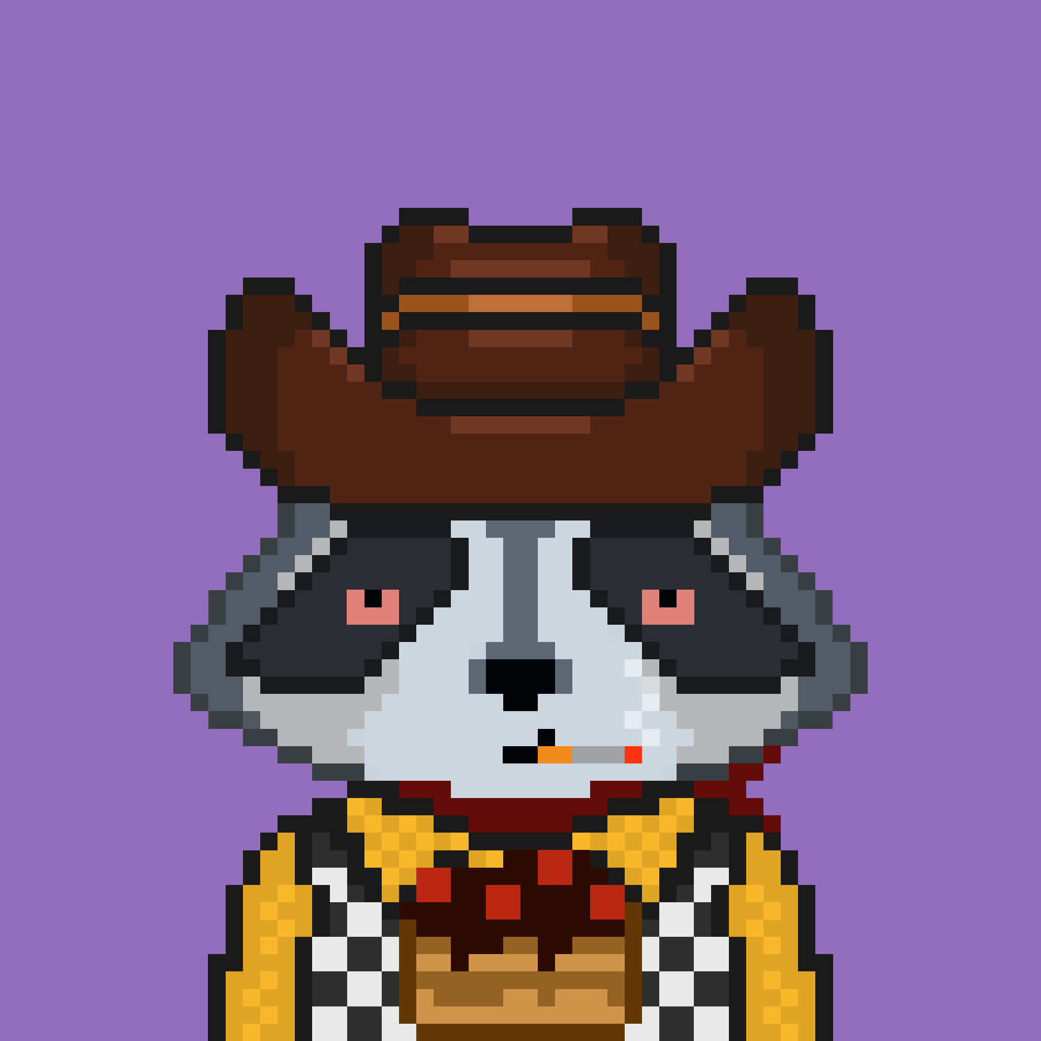 Pixel Raccoon #1134 NFT on Algorand