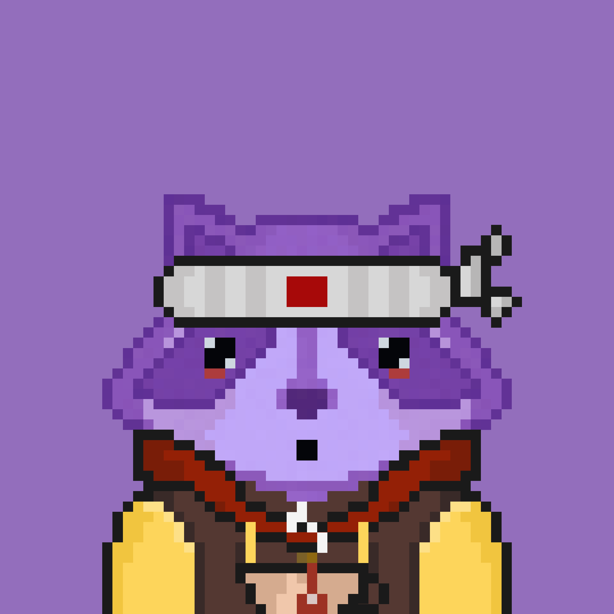 Pixel Raccoon #1135 NFT on Algorand