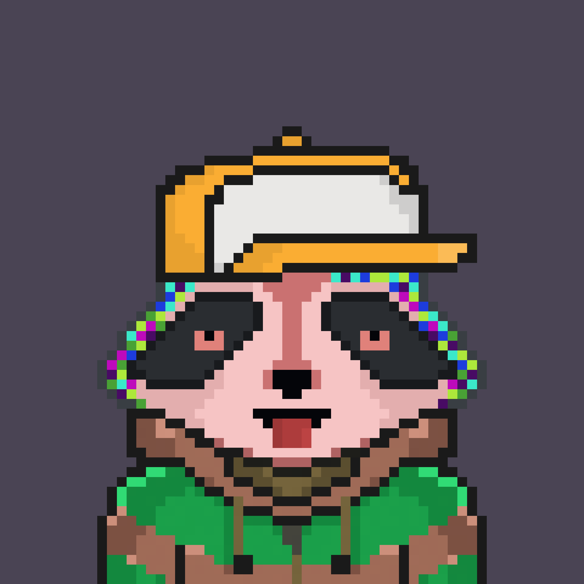 Pixel Raccoon #1136 NFT on Algorand