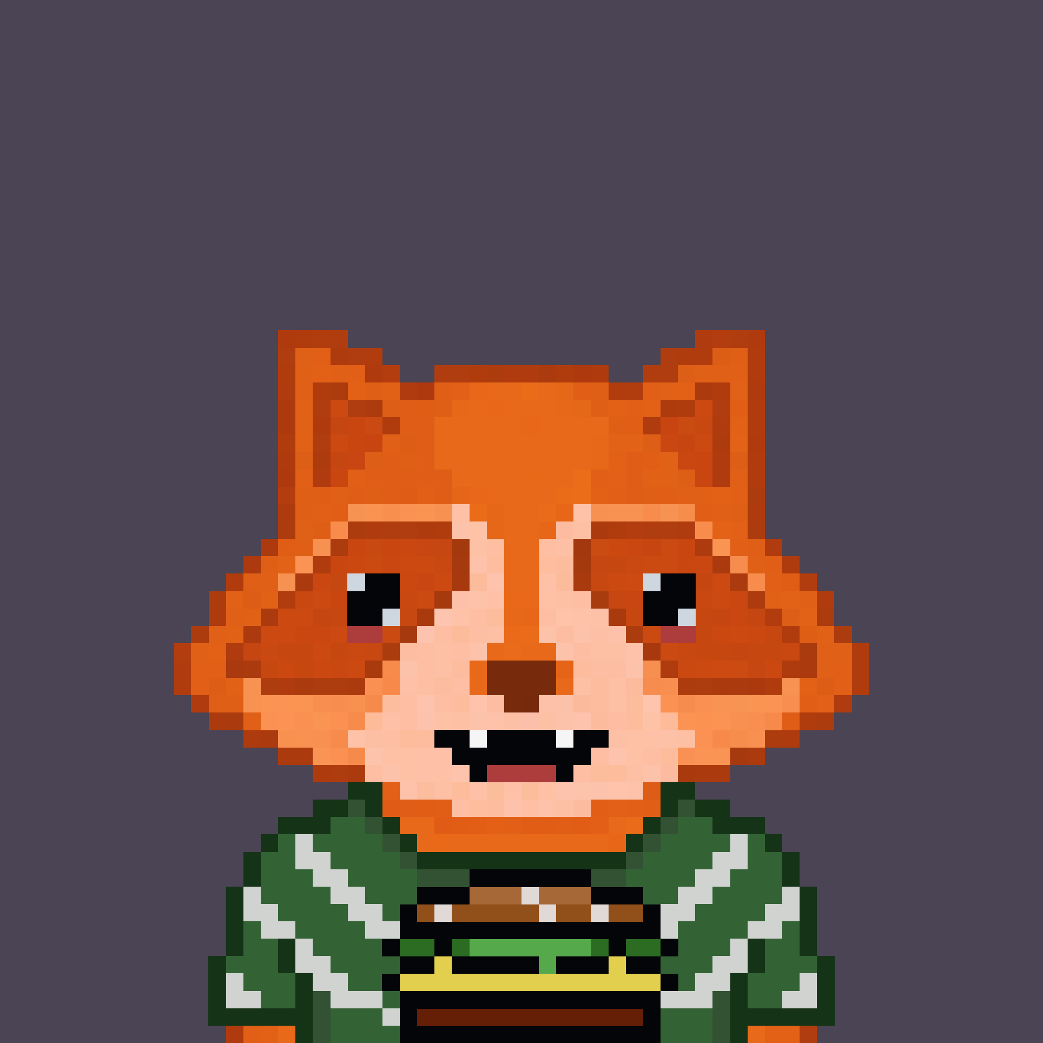 Pixel Raccoon #1141 NFT on Algorand