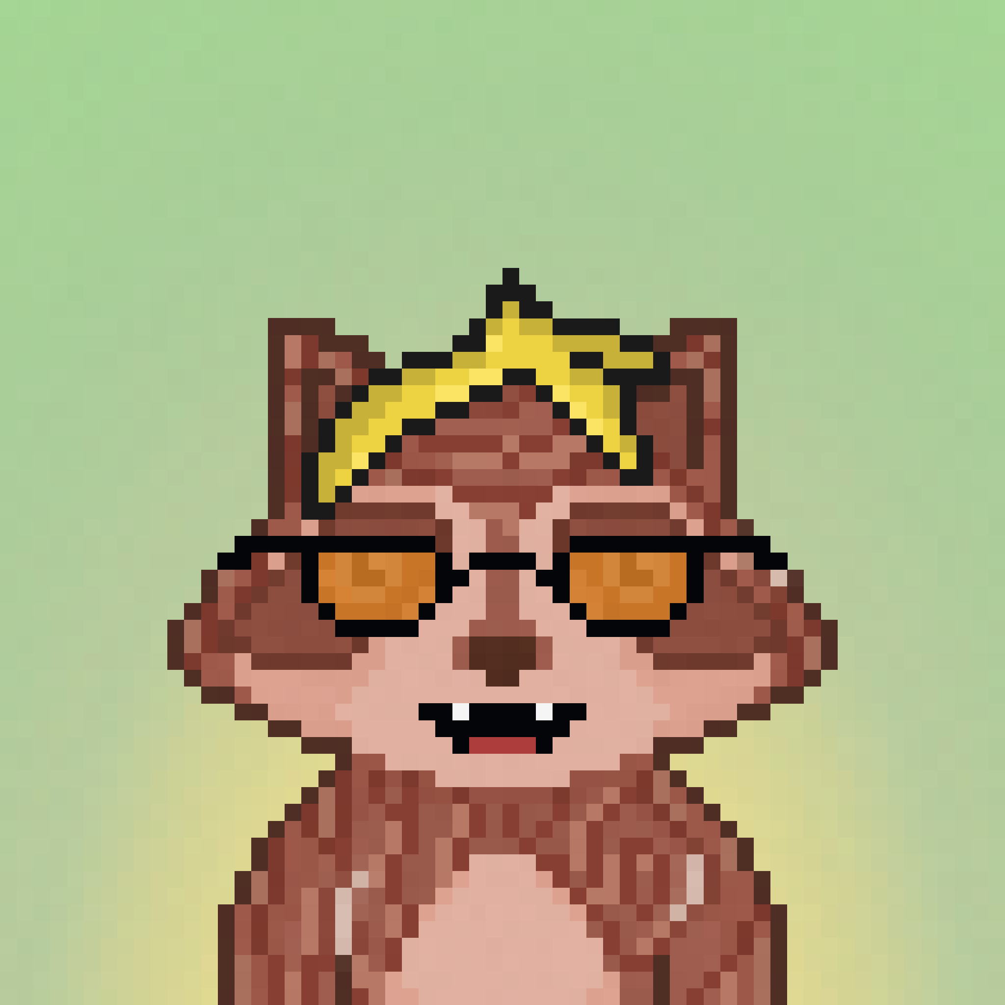 Pixel Raccoon #1143 NFT on Algorand