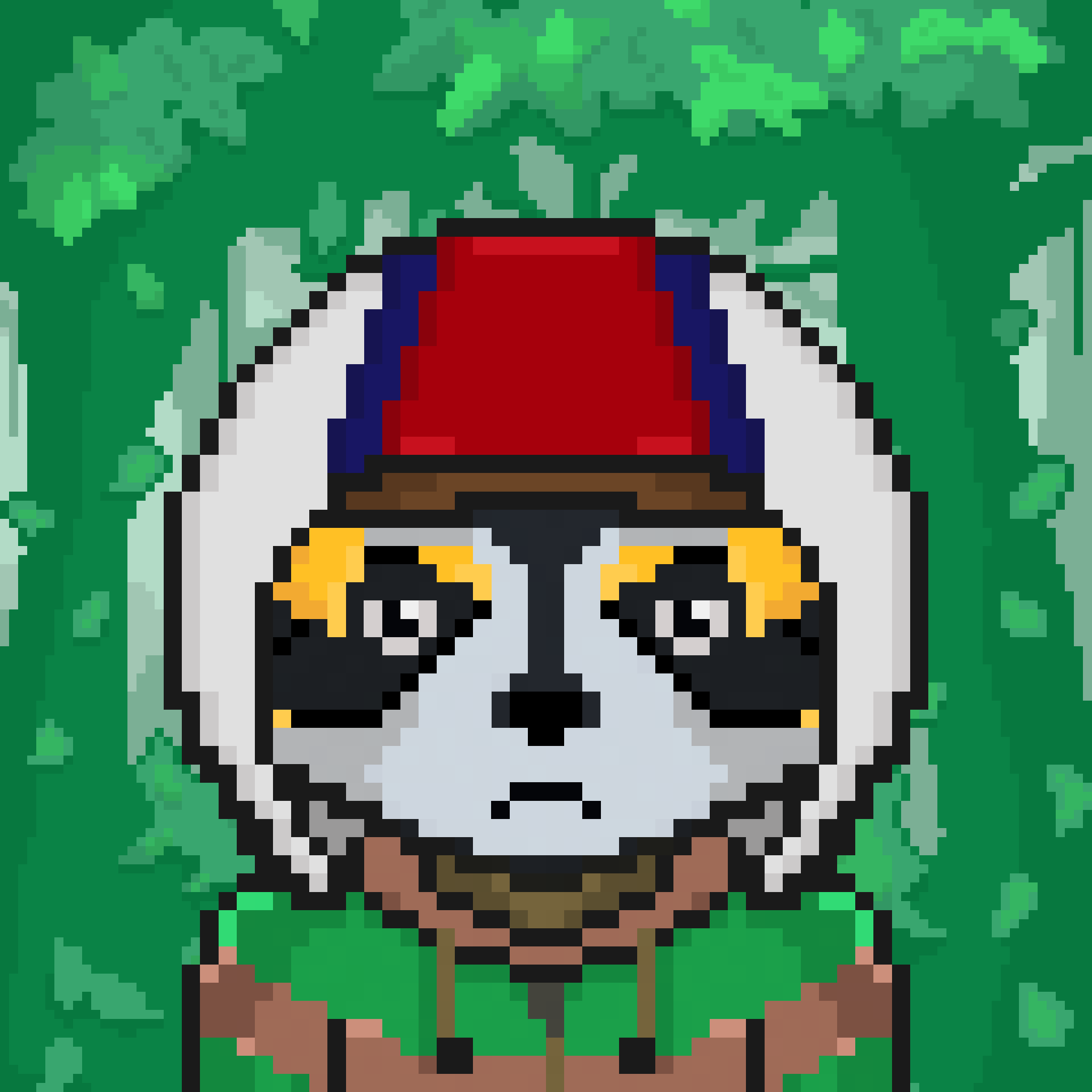 Pixel Raccoon #1160 NFT on Algorand