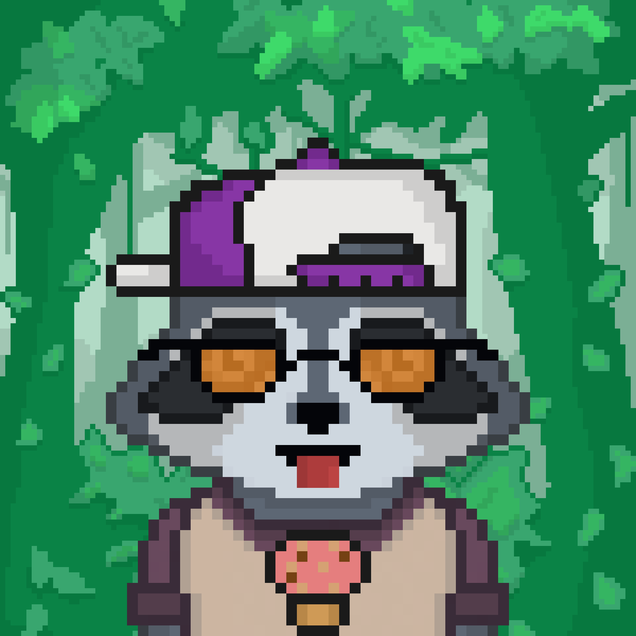 Pixel Raccoon #1161 NFT on Algorand