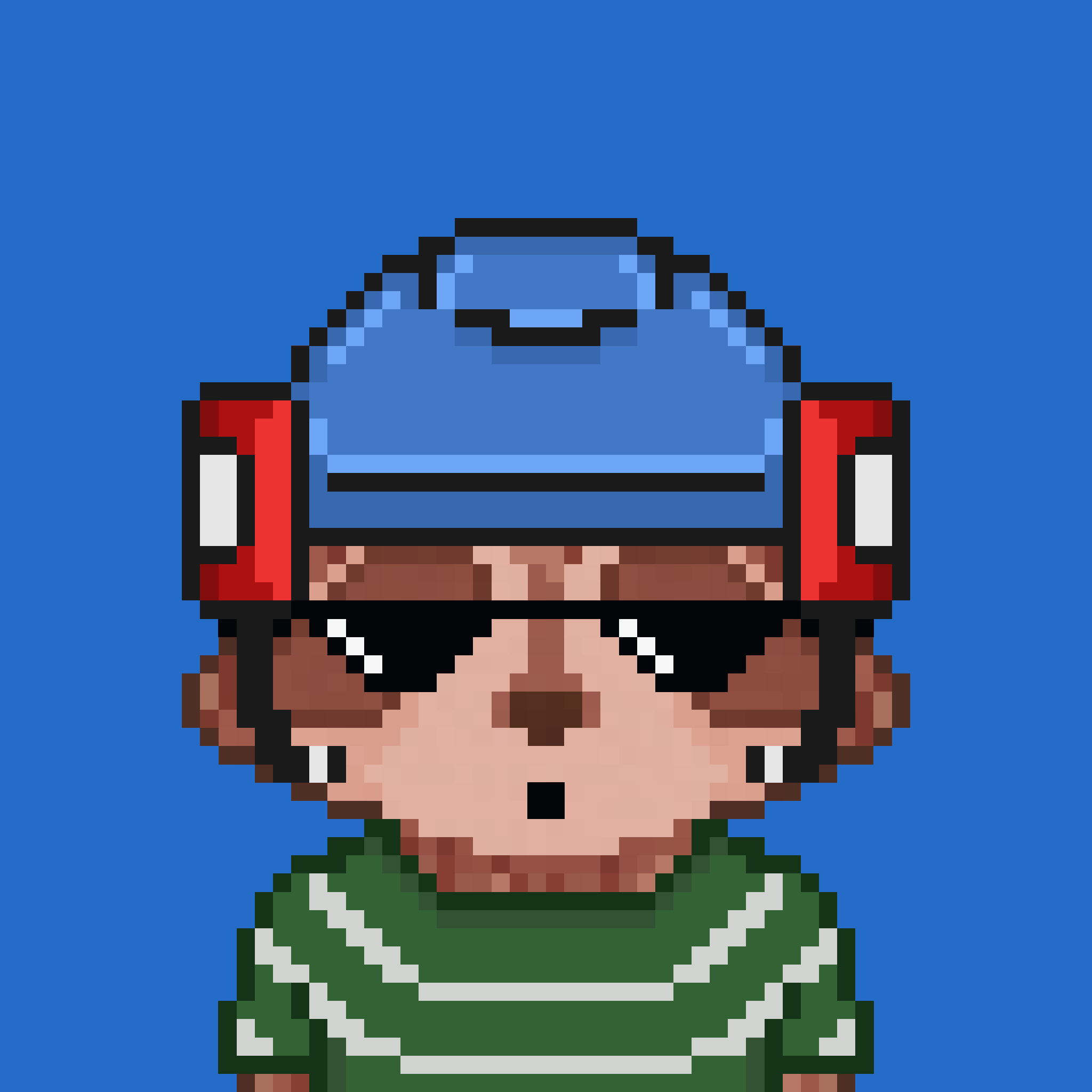 Pixel Raccoon #1165 NFT on Algorand