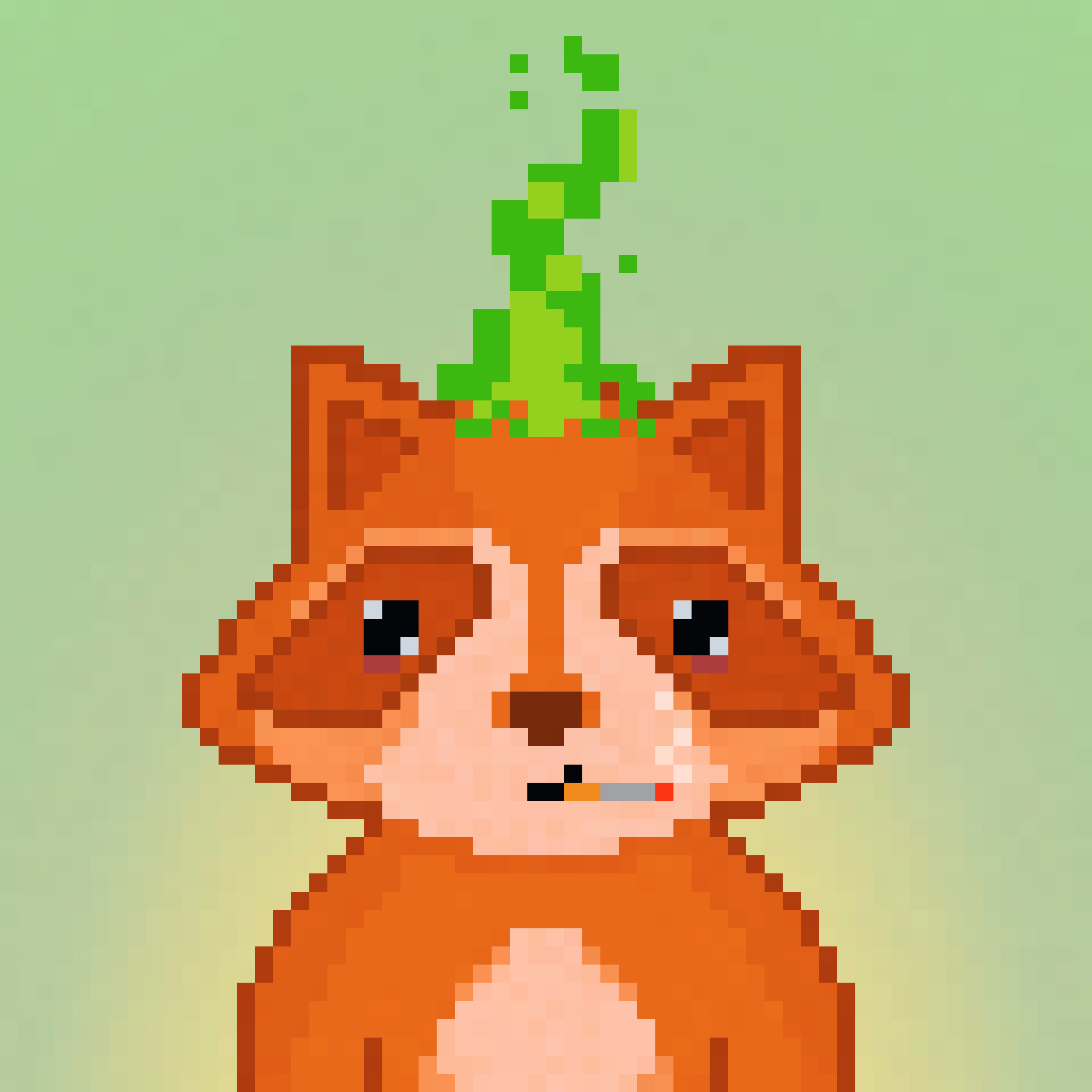 Pixel Raccoon #1177 NFT on Algorand