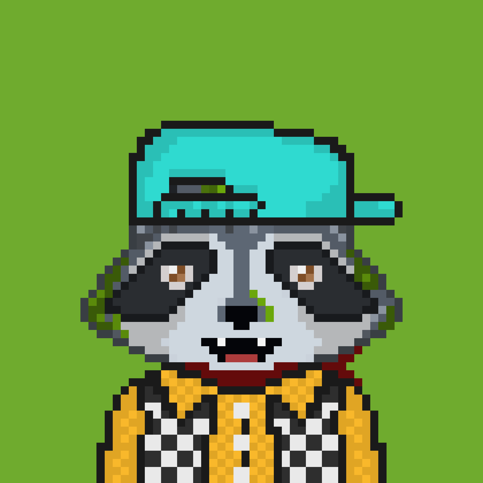 Pixel Raccoon #1180 NFT on Algorand