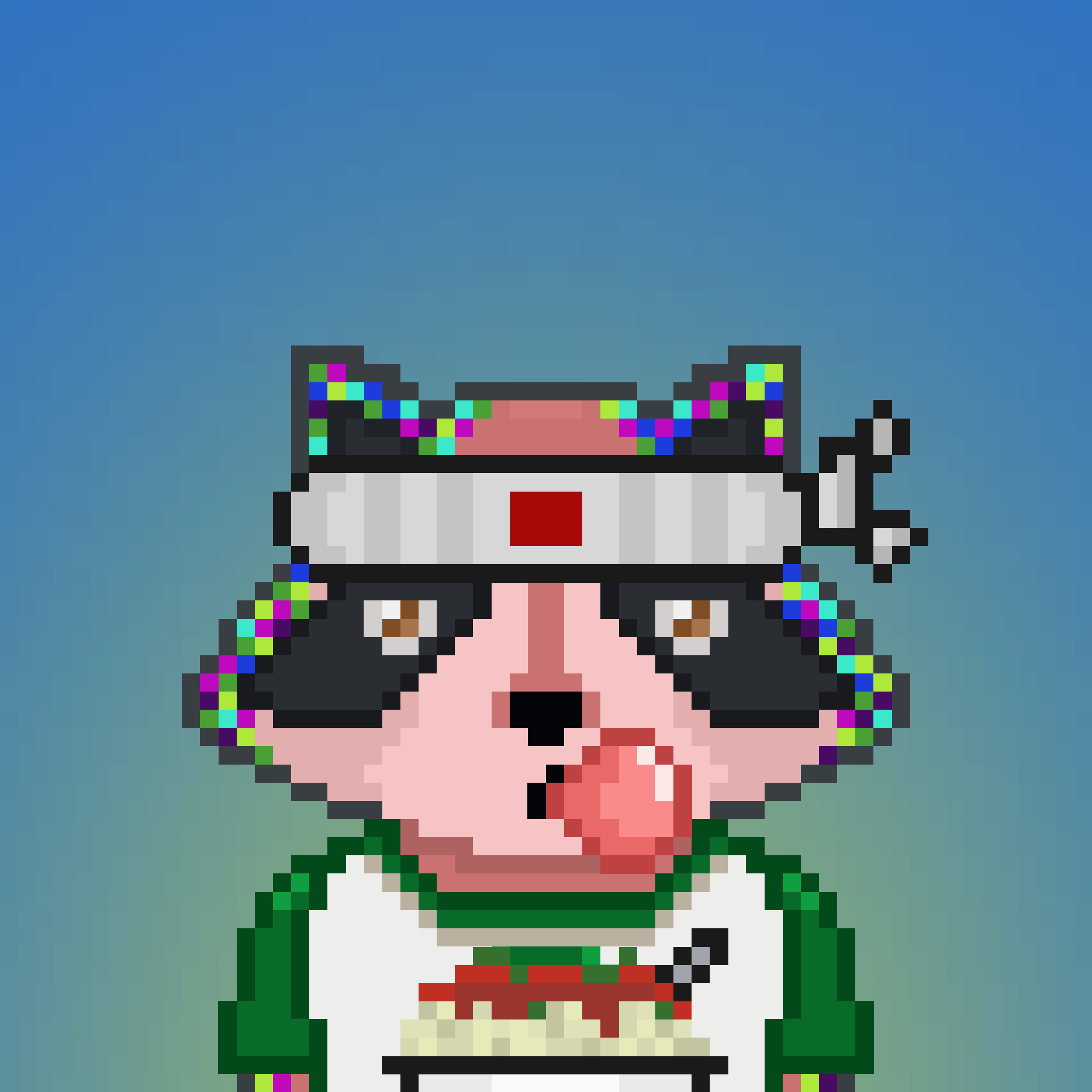 Pixel Raccoon #1183 NFT on Algorand