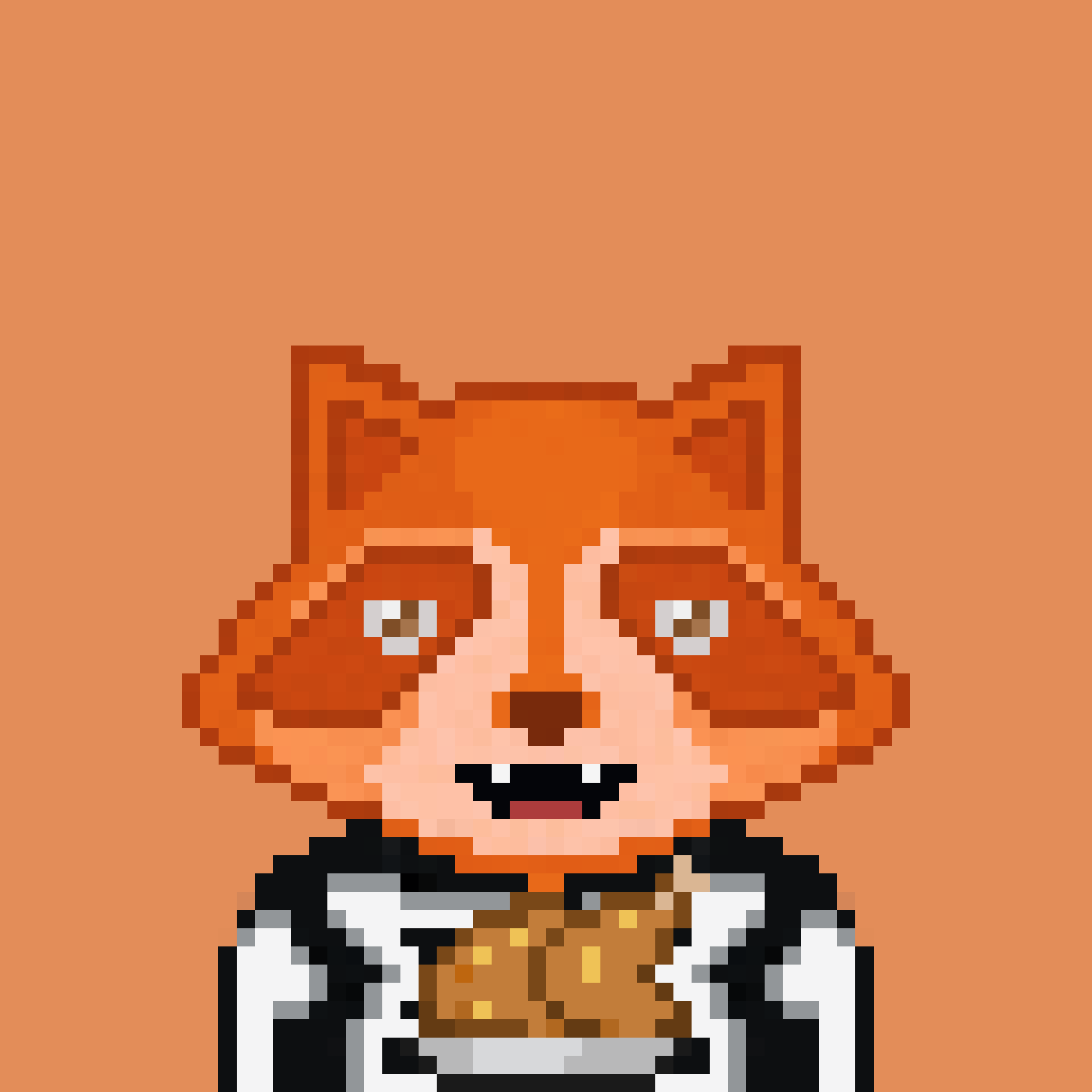 Pixel Raccoon #1189 NFT on Algorand