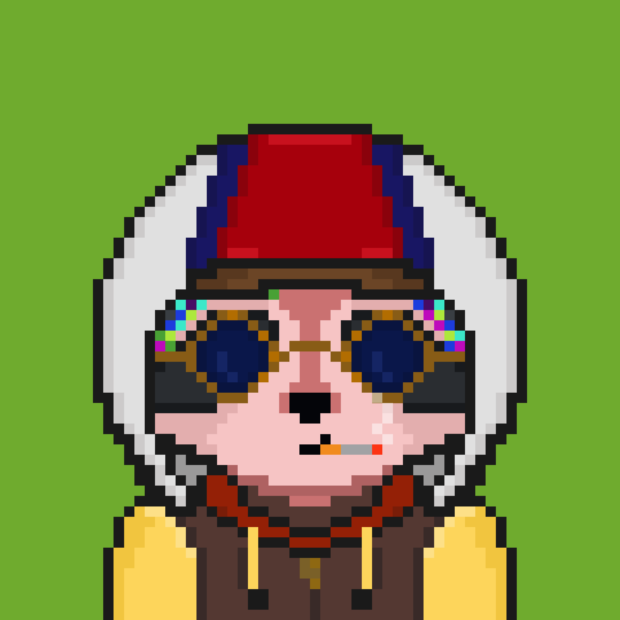 Pixel Raccoon #1207 NFT on Algorand