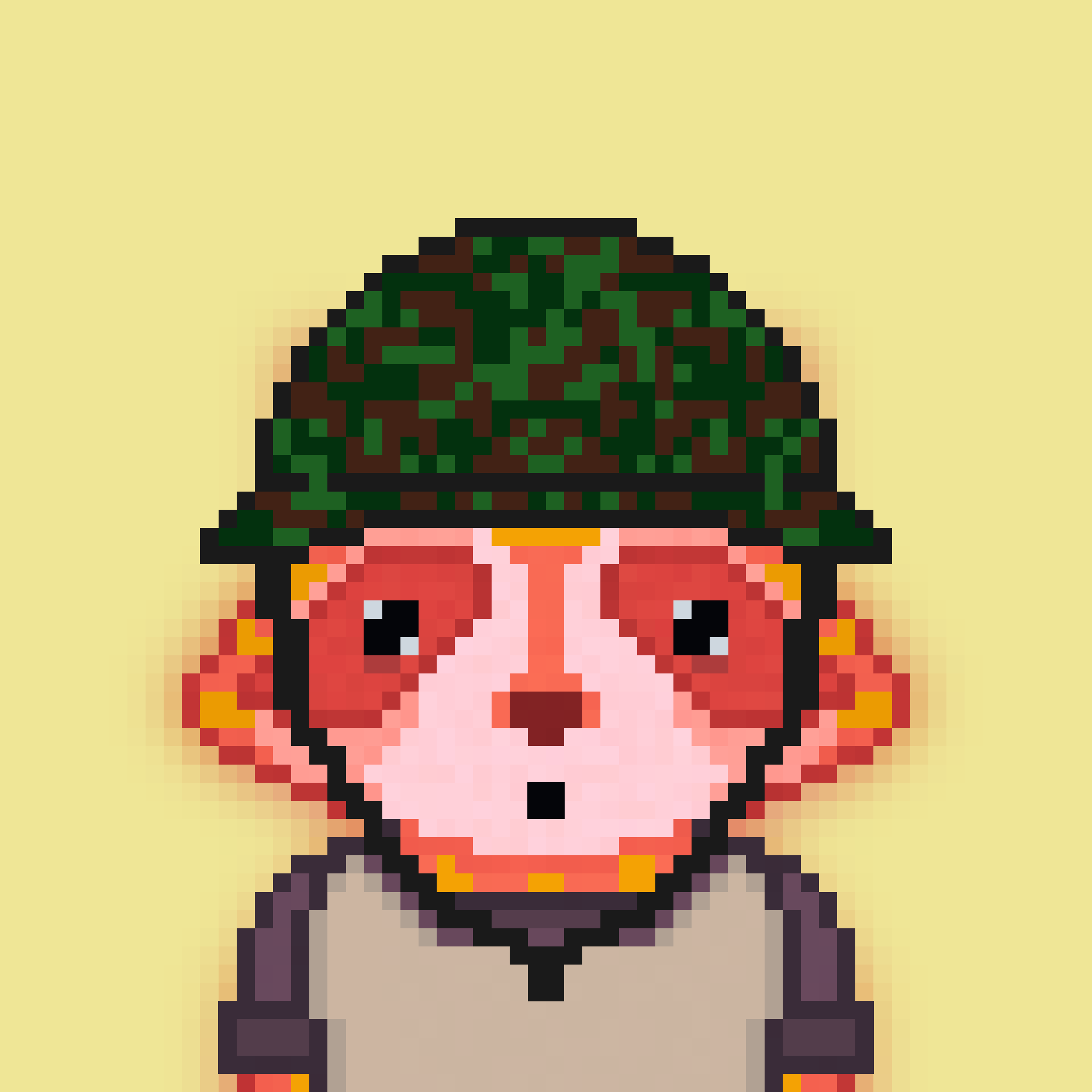 Pixel Raccoon #1209 NFT on Algorand