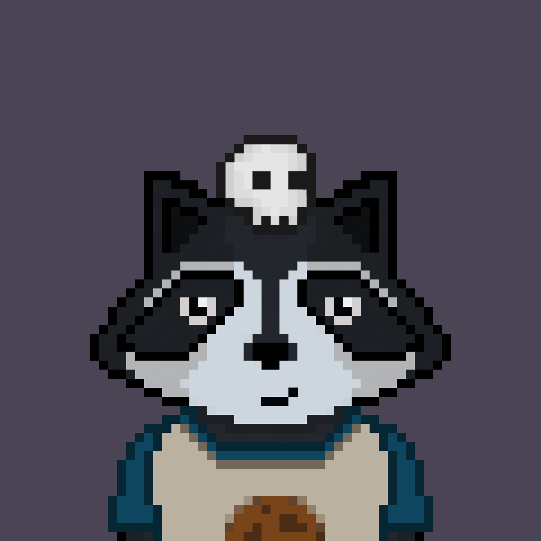 Pixel Raccoon #1220 NFT on Algorand