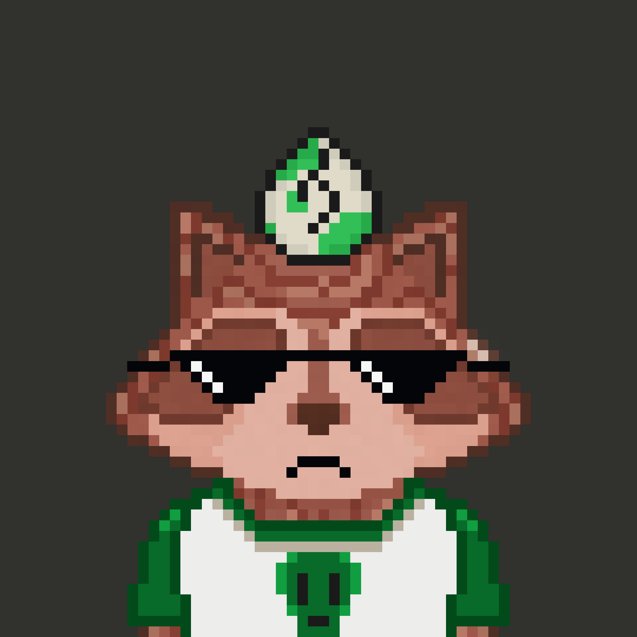 Pixel Raccoon #1223 NFT on Algorand