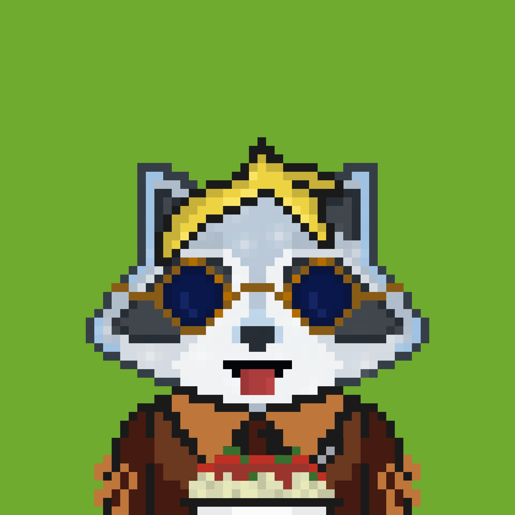 Pixel Raccoon #1224 NFT on Algorand