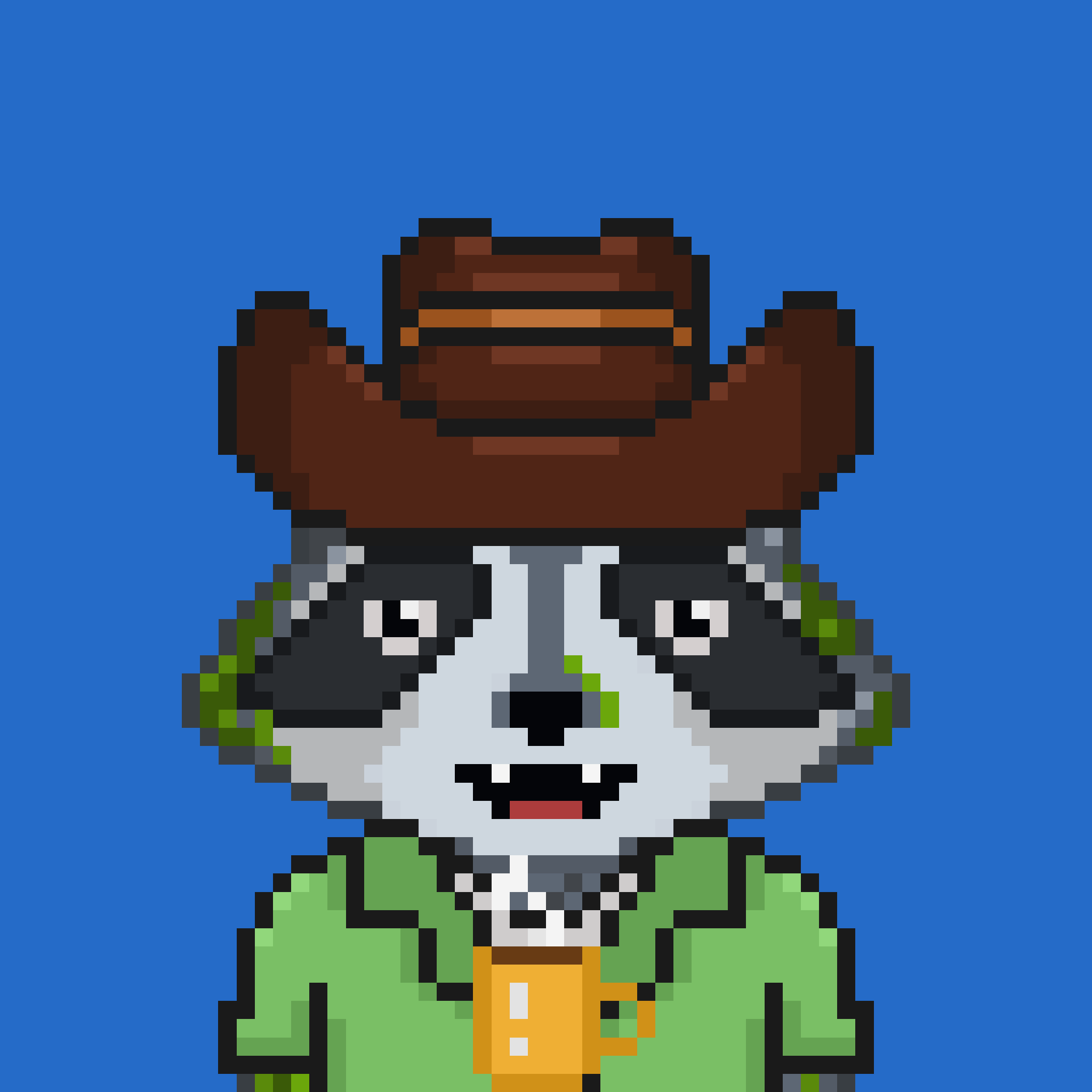 Pixel Raccoon #1230 NFT on Algorand