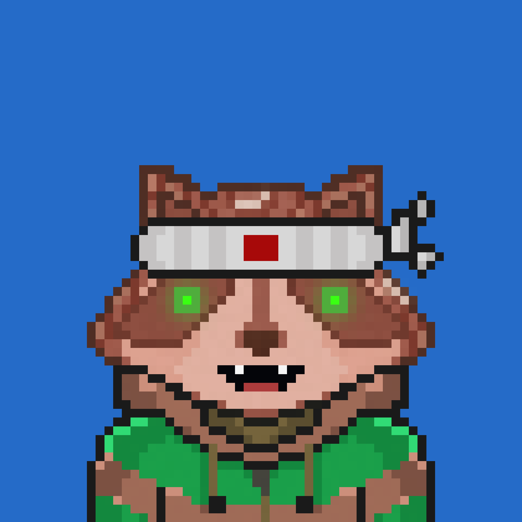 Pixel Raccoon #1231 NFT on Algorand