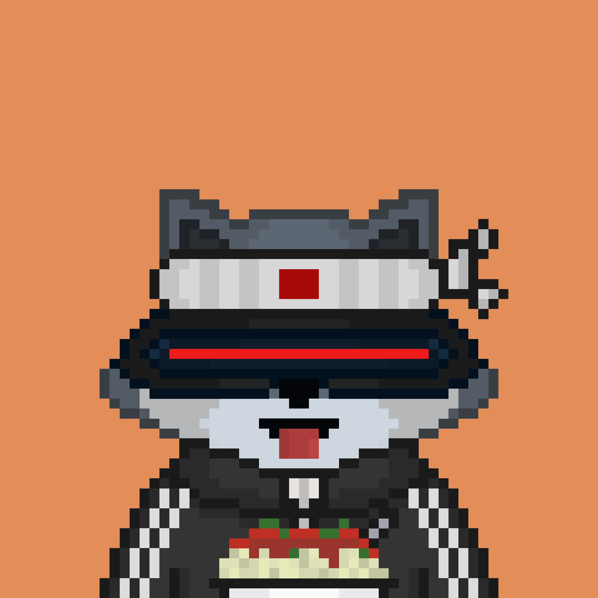 Pixel Raccoon #1234 NFT on Algorand