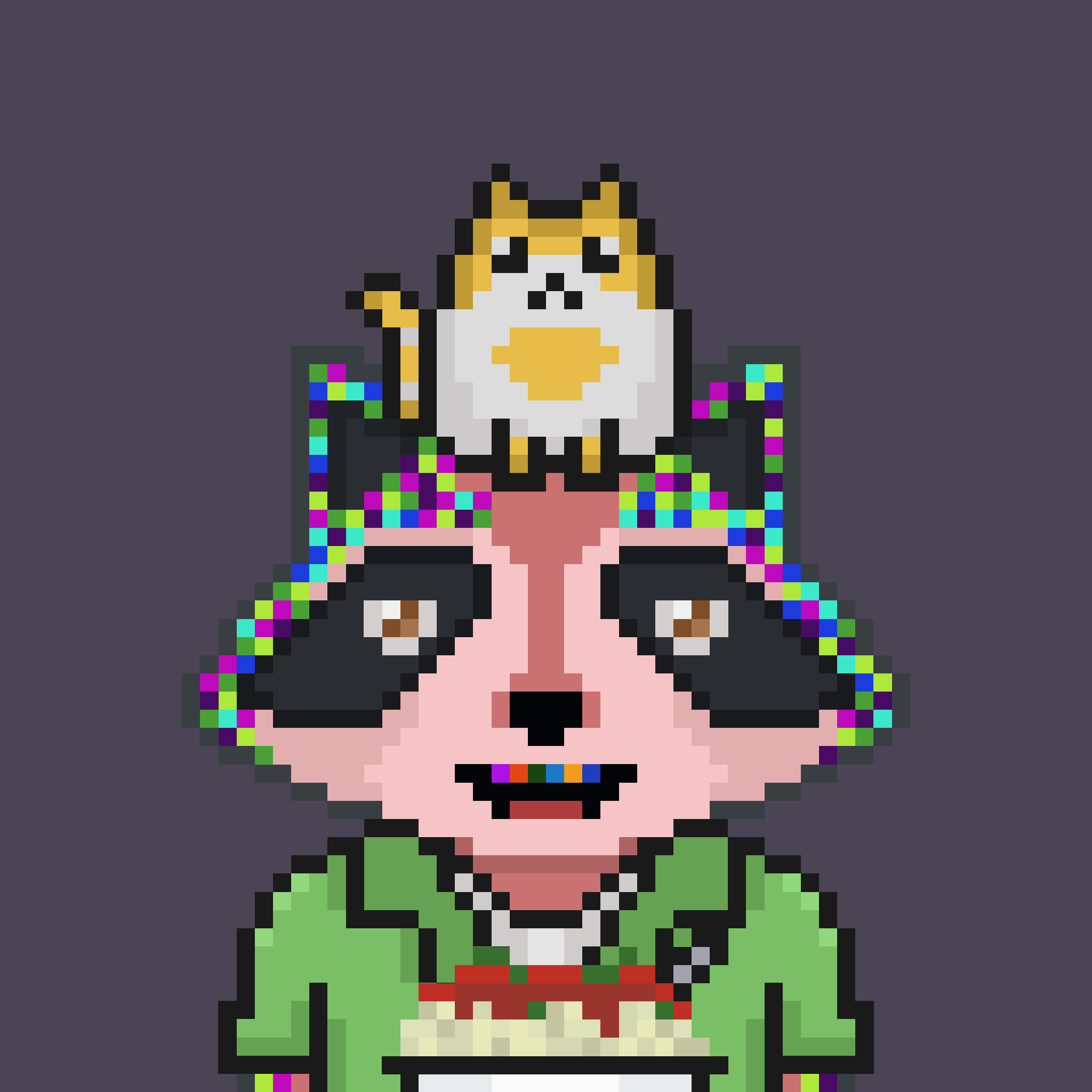 Pixel Raccoon #124 NFT on Algorand