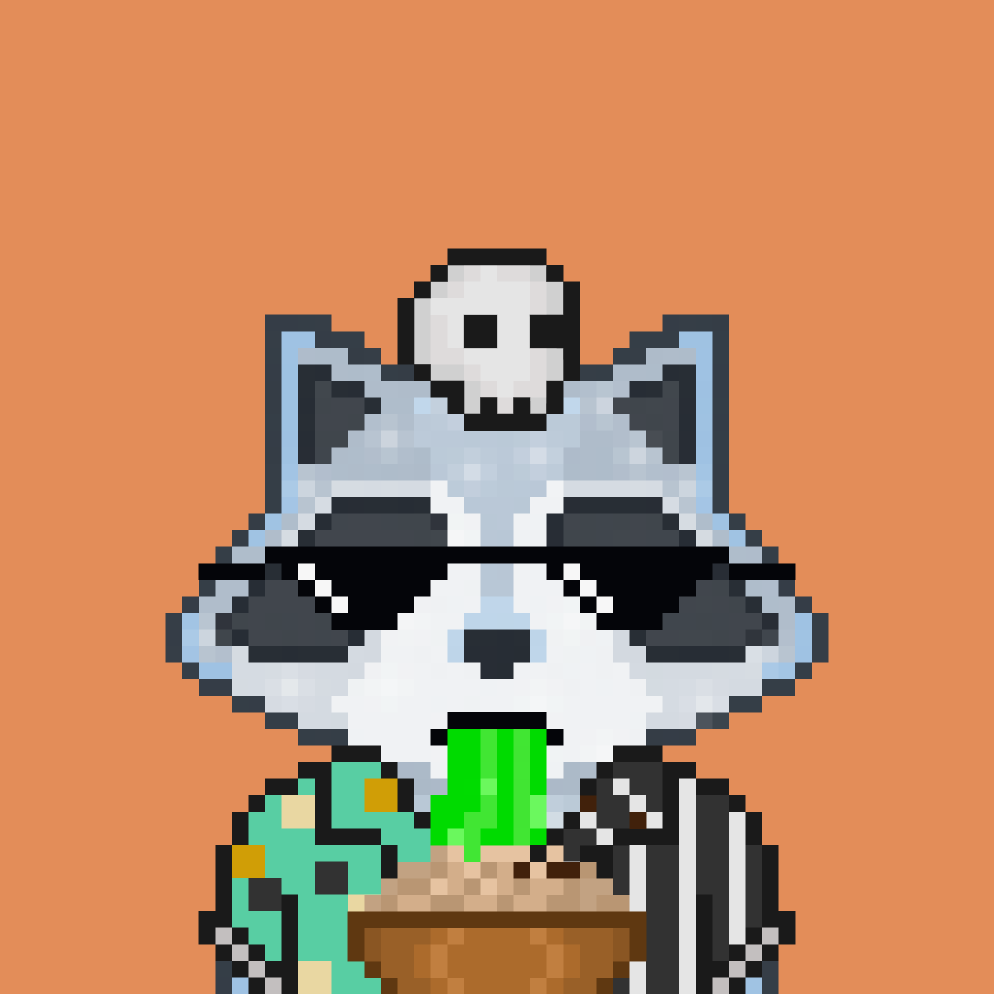 Pixel Raccoon #126 NFT on Algorand