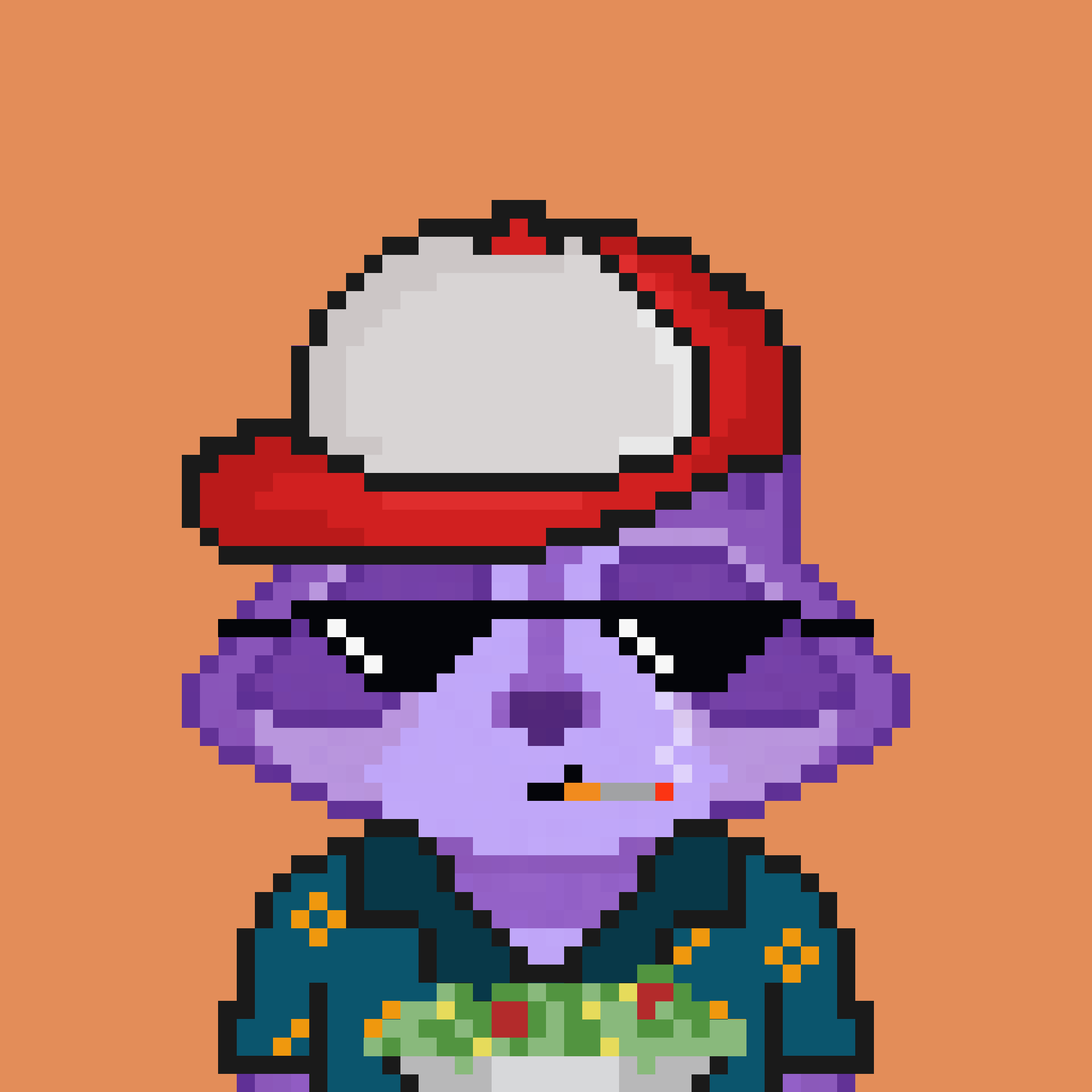 Pixel Raccoon #1265 NFT on Algorand