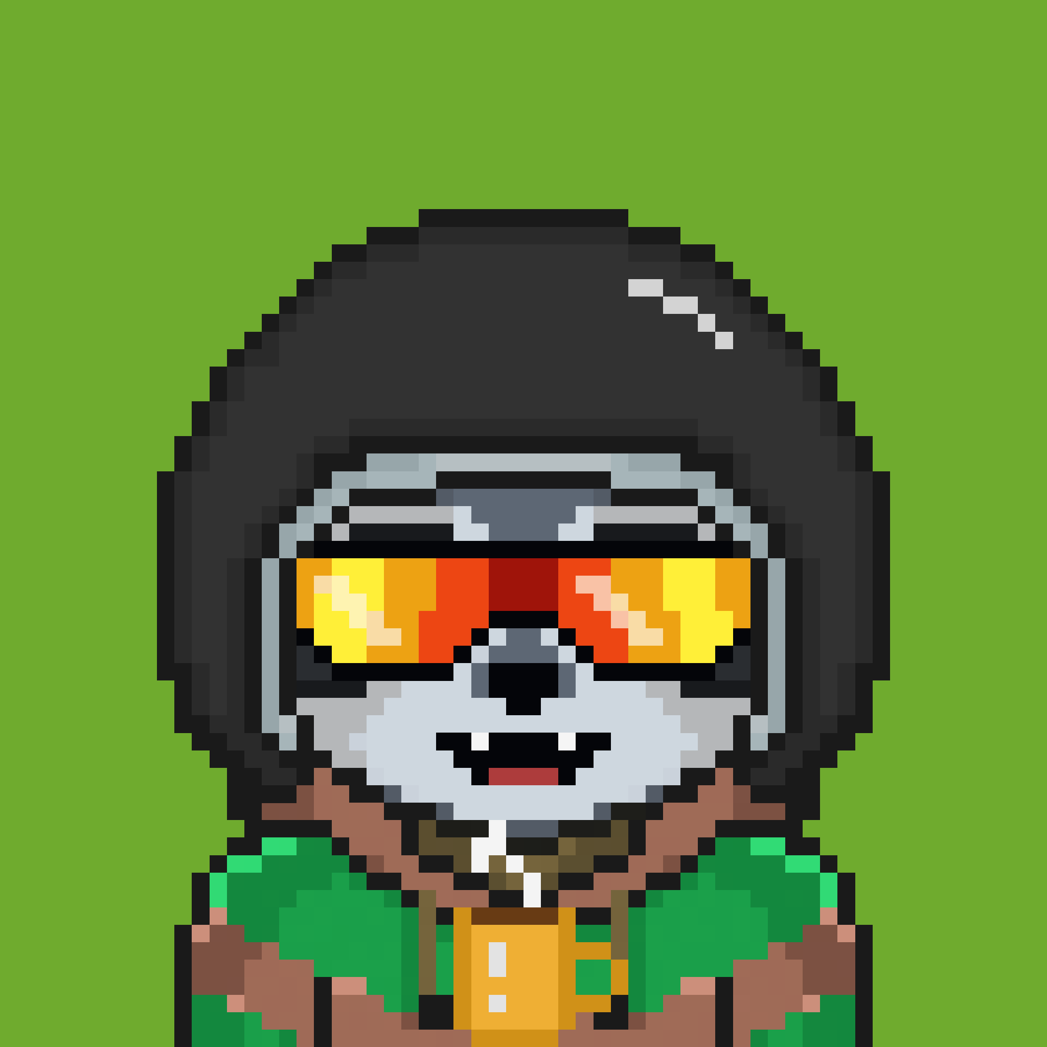 Pixel Raccoon #1287 NFT on Algorand