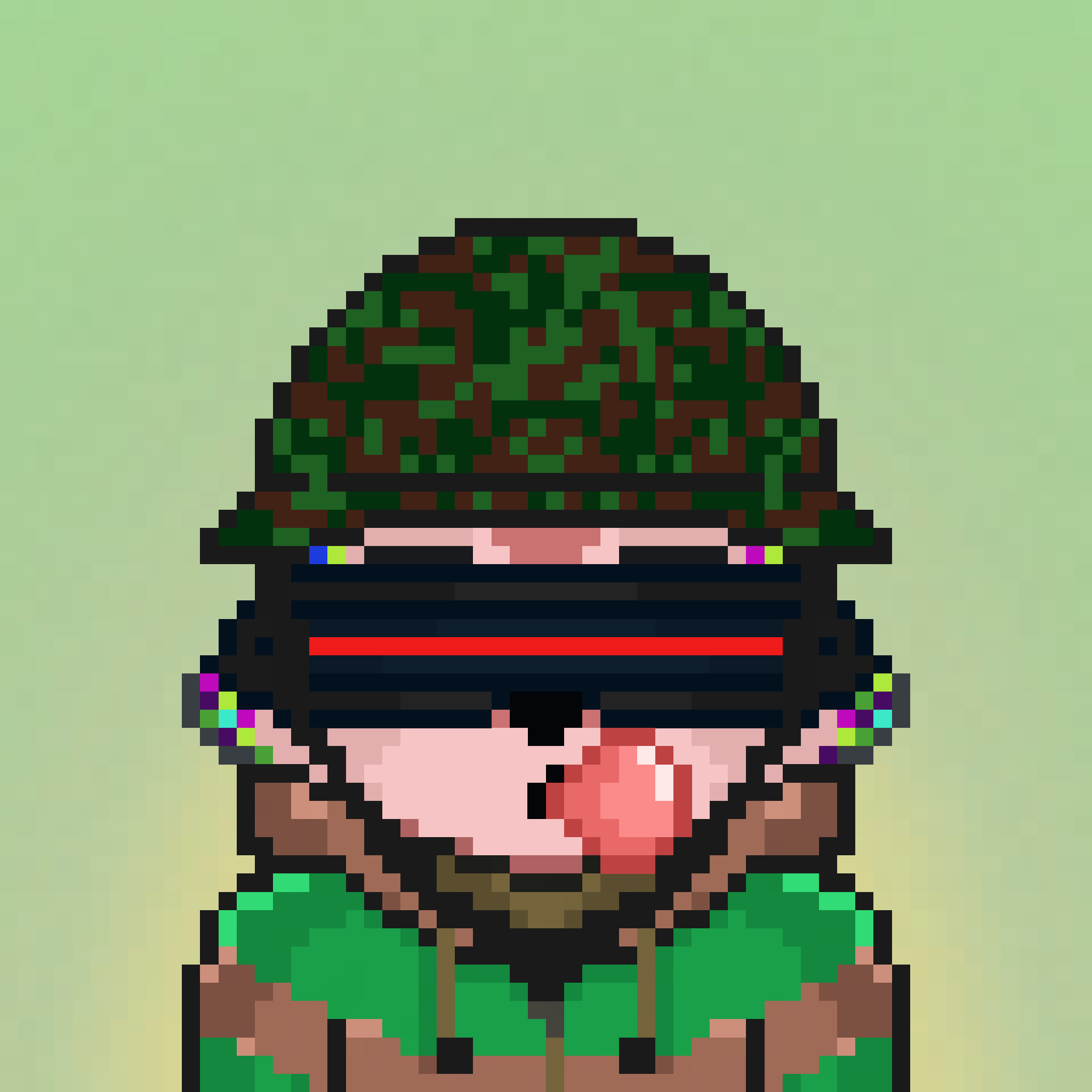 Pixel Raccoon #1291 NFT on Algorand