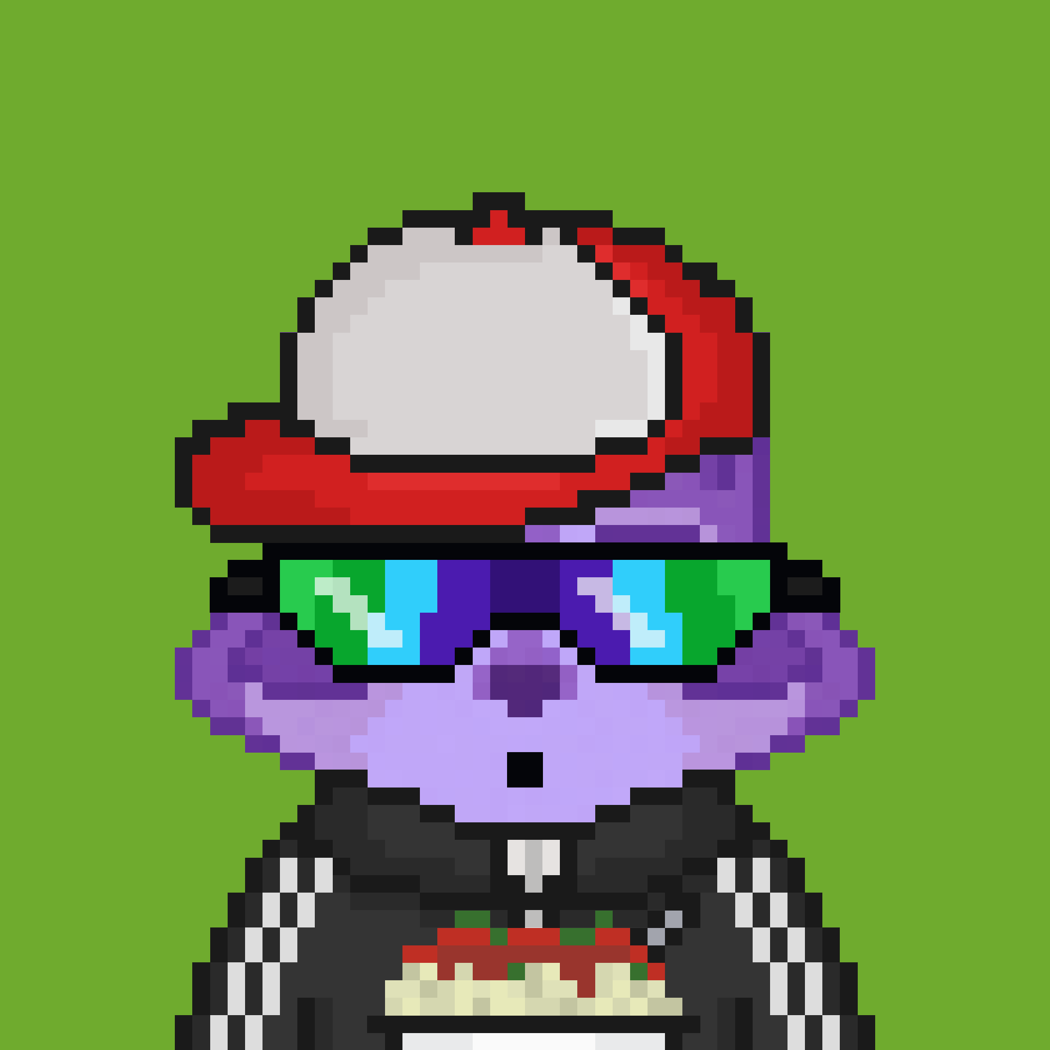Pixel Raccoon #1293 NFT on Algorand