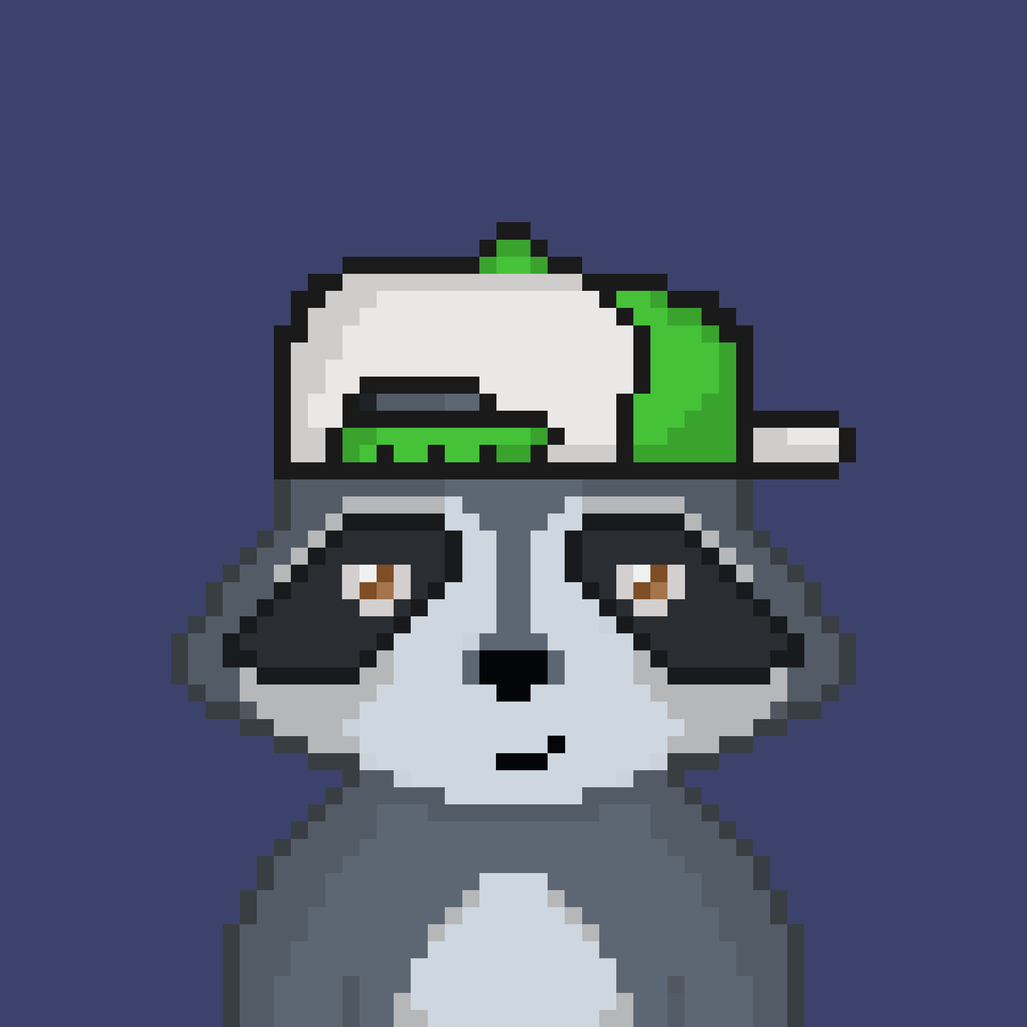 Pixel Raccoon #1302 NFT on Algorand