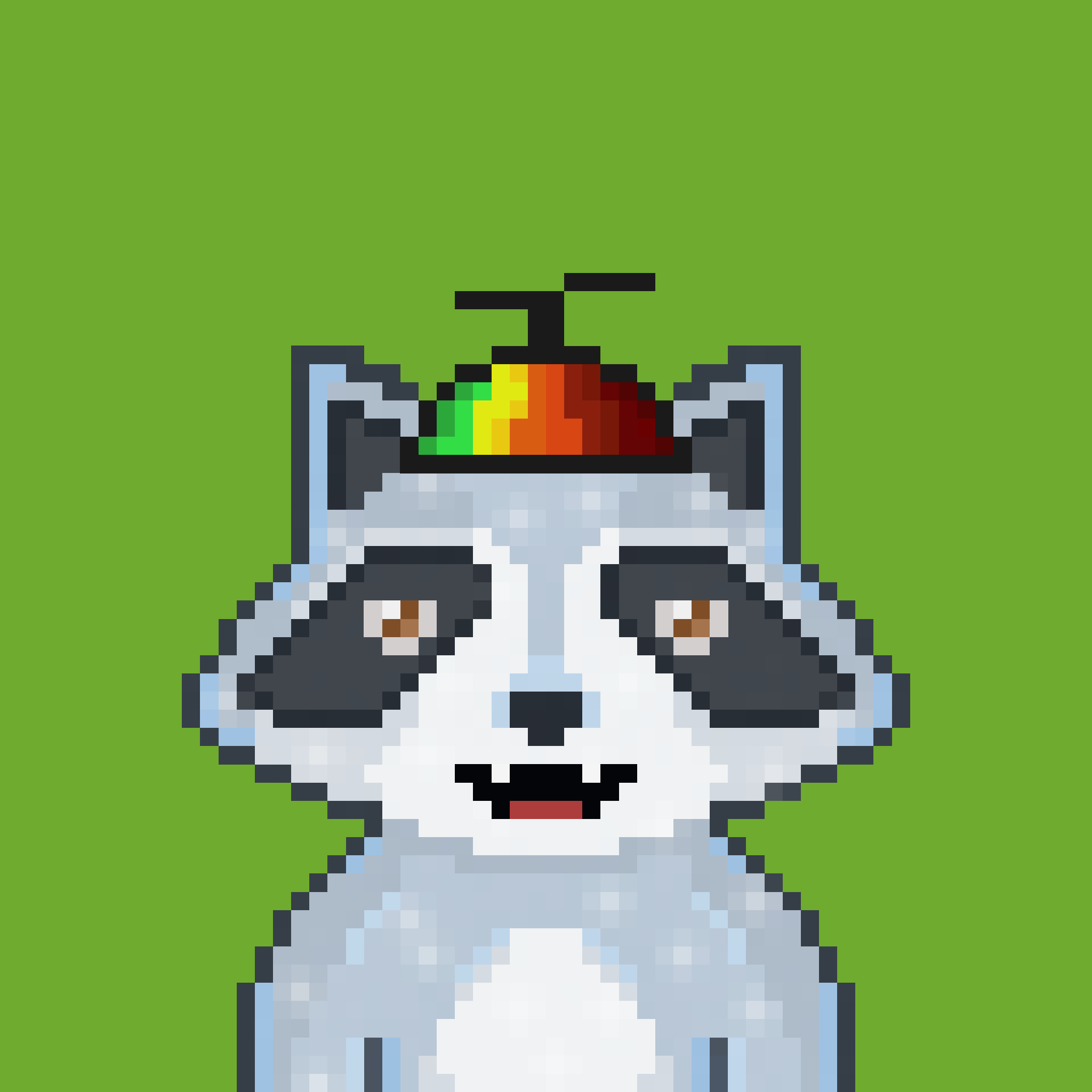 Pixel Raccoon #1304 NFT on Algorand