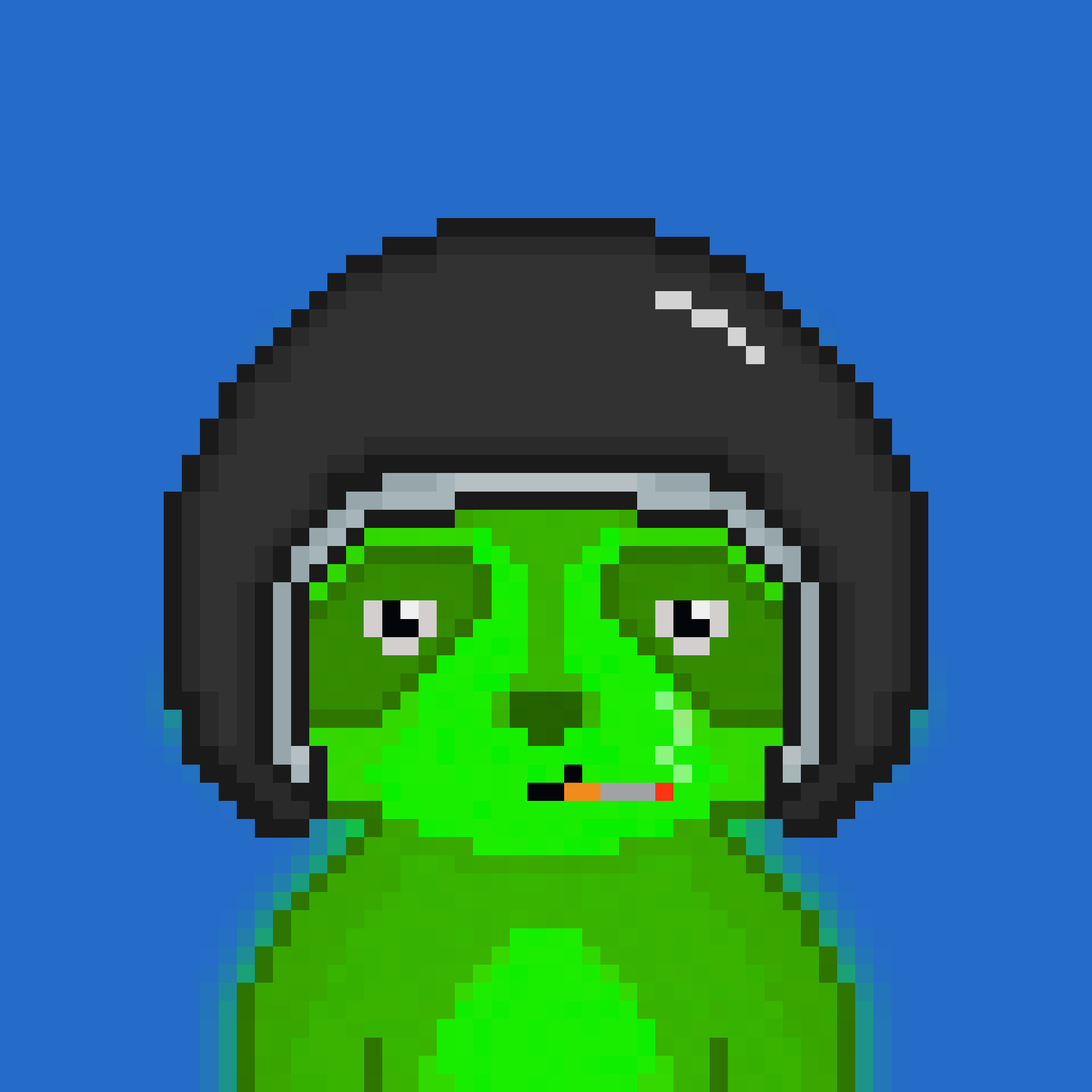 Pixel Raccoon #1313 NFT on Algorand