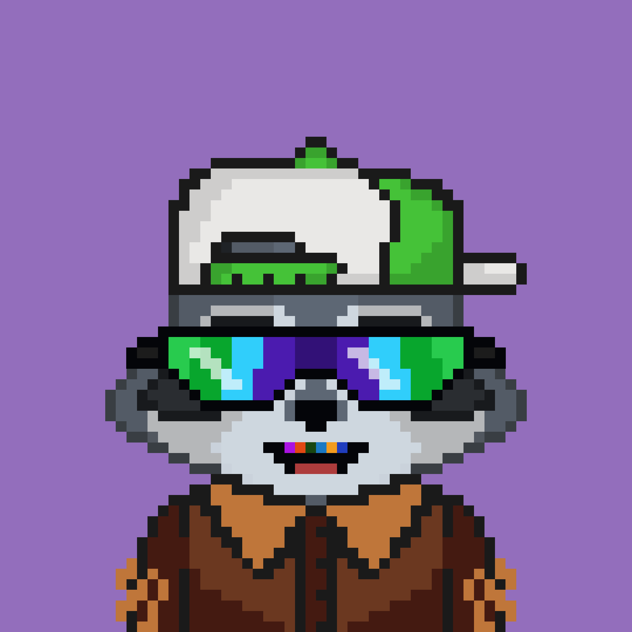 Pixel Raccoon #1315 NFT on Algorand