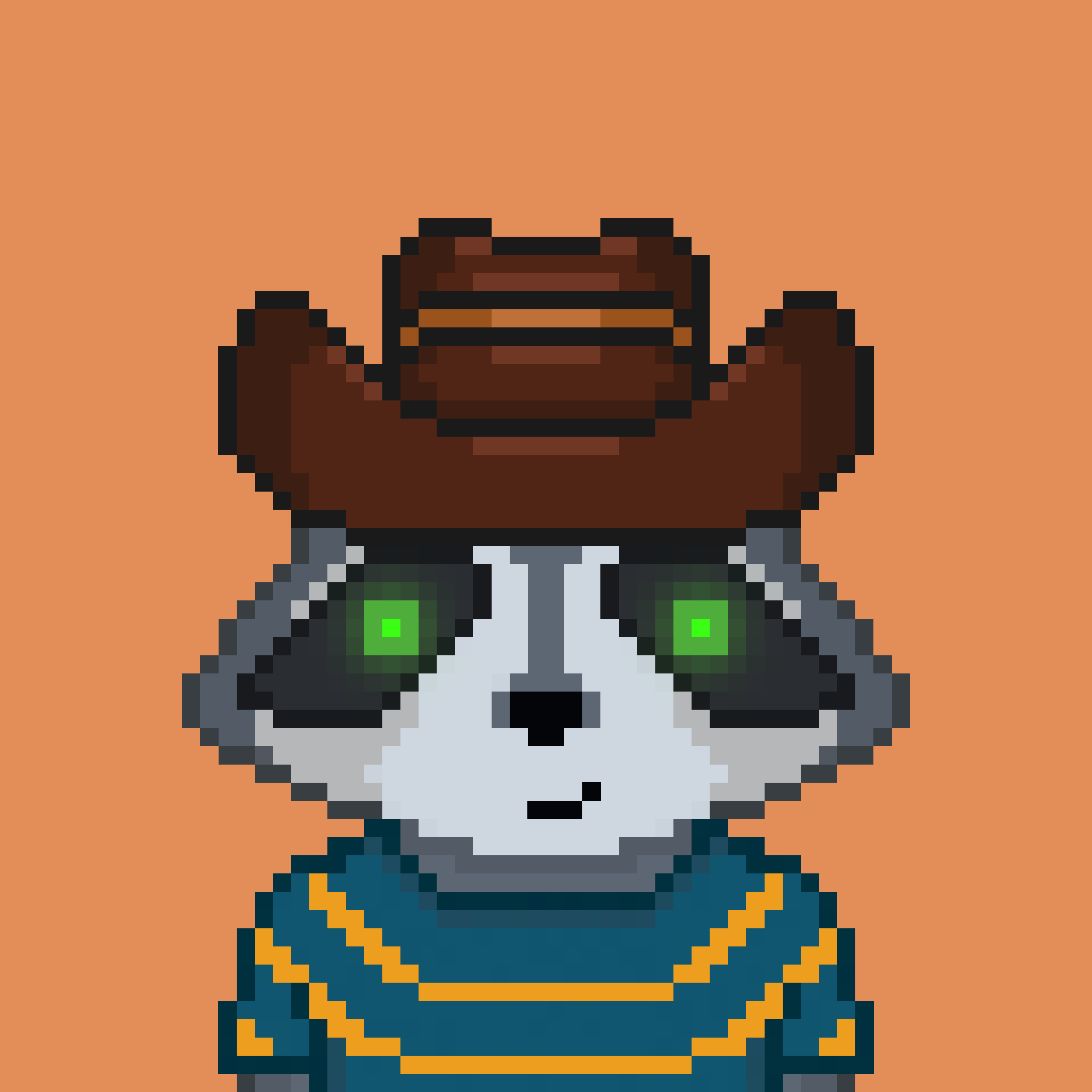 Pixel Raccoon #1326 NFT on Algorand