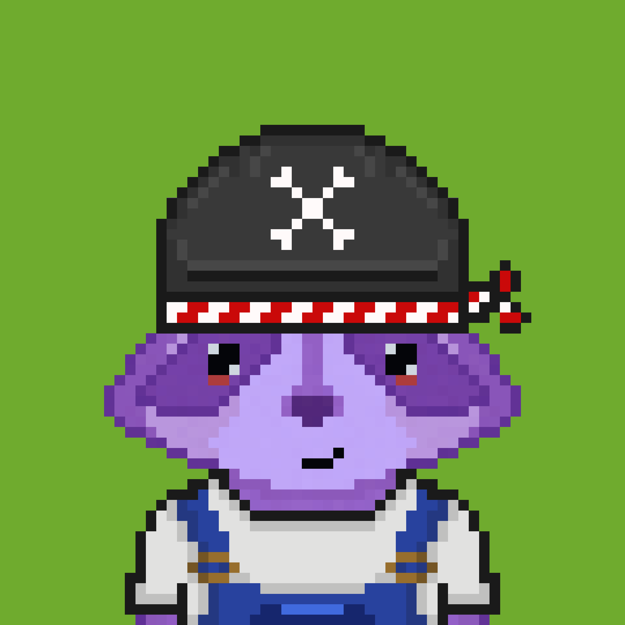 Pixel Raccoon #134 NFT on Algorand